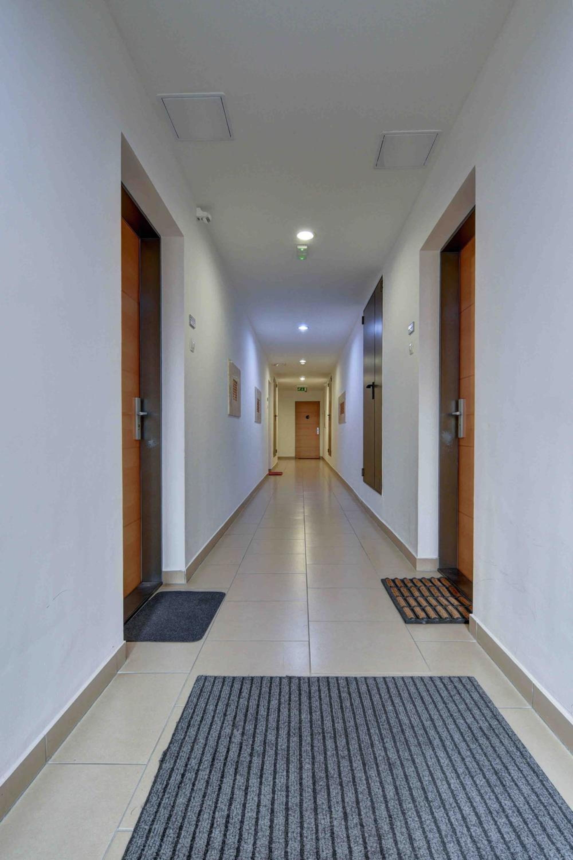 Madarhegy Apartment with garden Buda side, photo 27