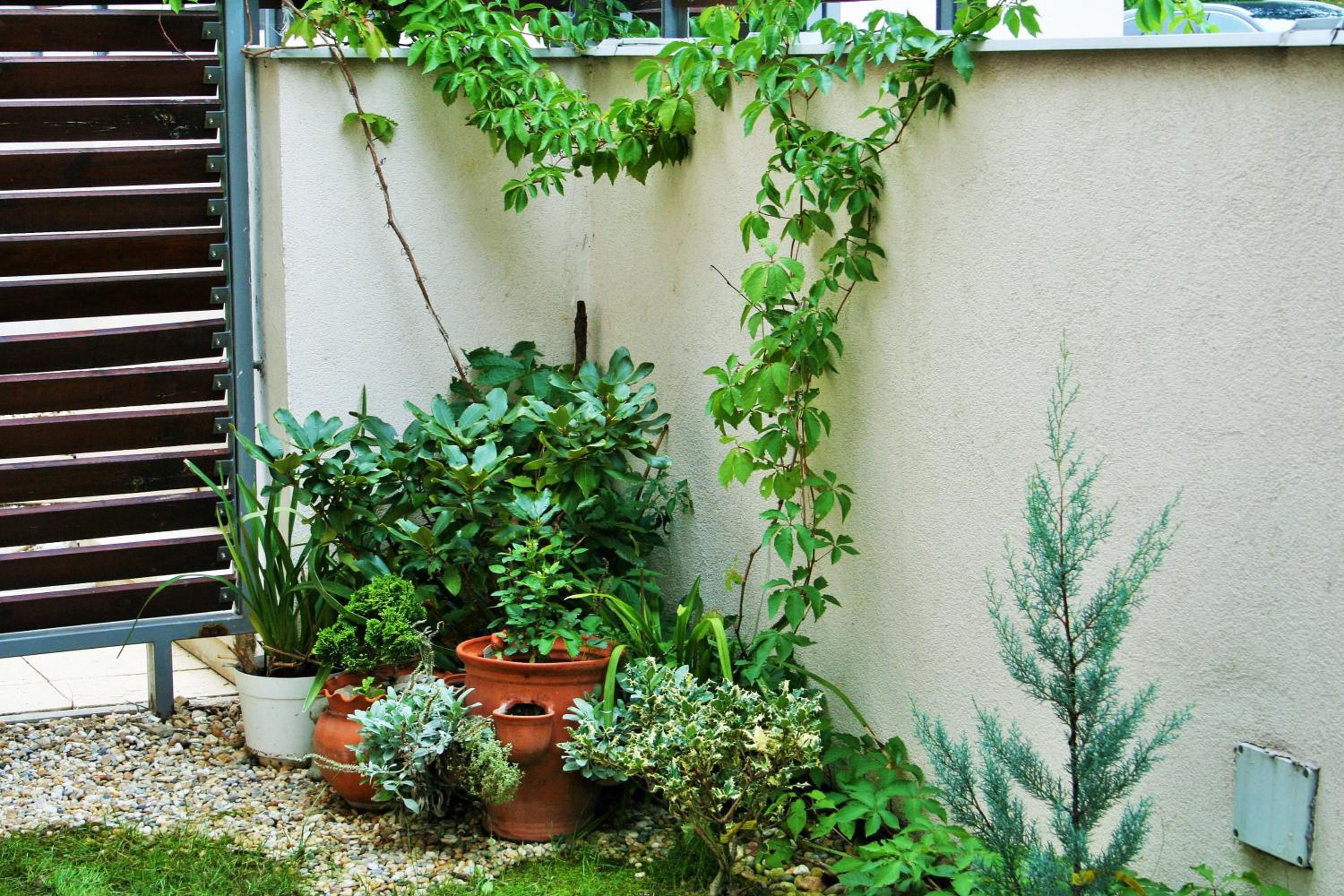 Madarhegy Apartment with garden Buda side, photo 9