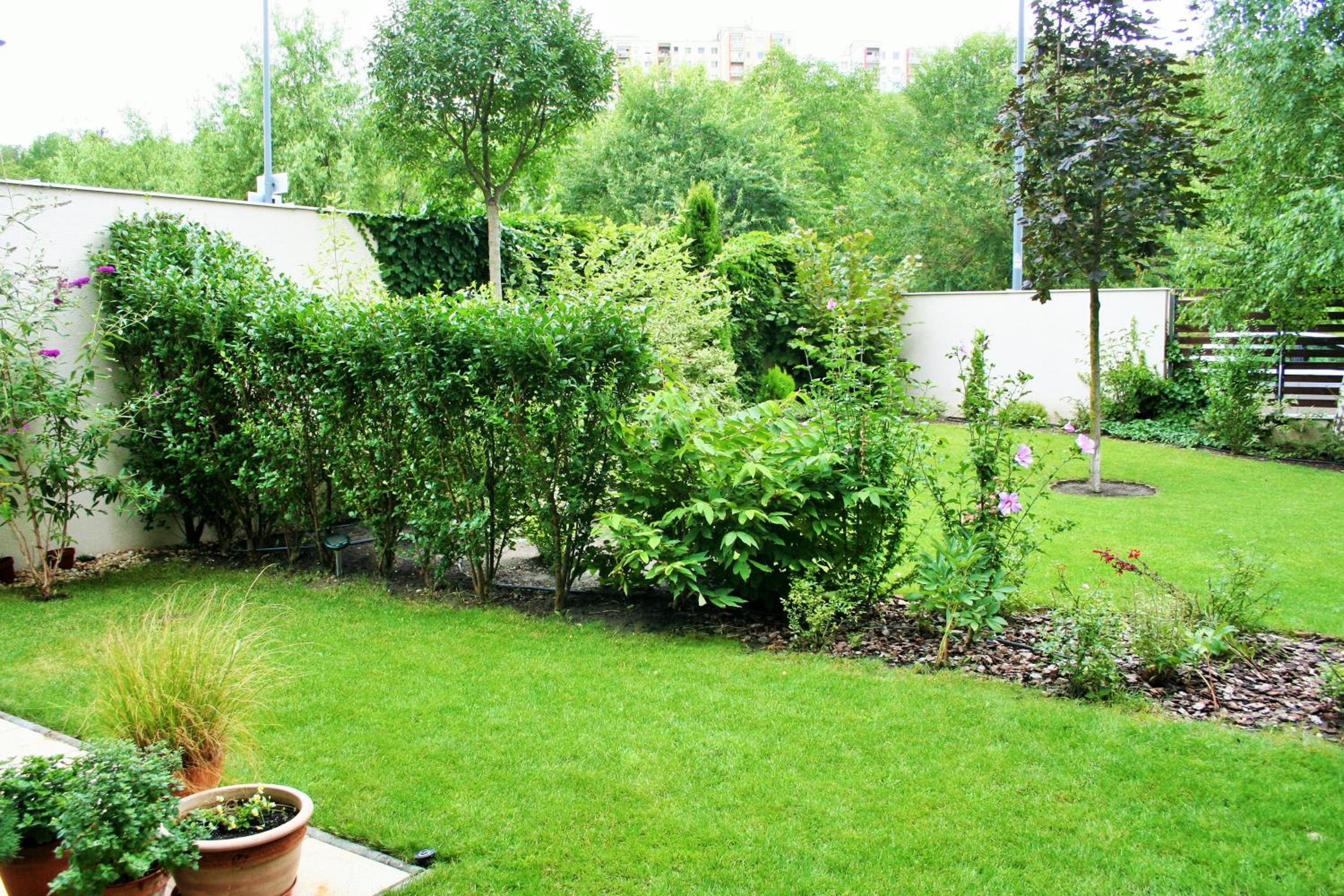 Madarhegy Apartment with garden Buda side, photo 33