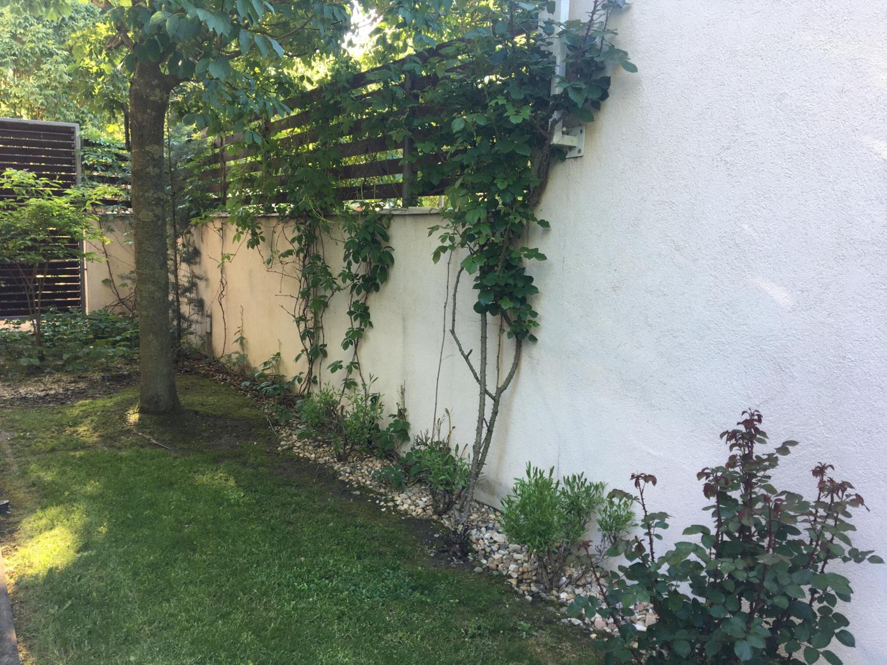 Madarhegy Apartment with garden Buda side, photo 22