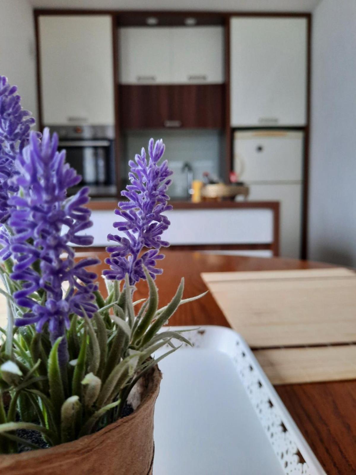 Apartman Kovaci en Sarajevo — kitchen