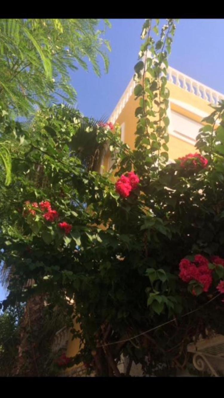 FREDOV view 4