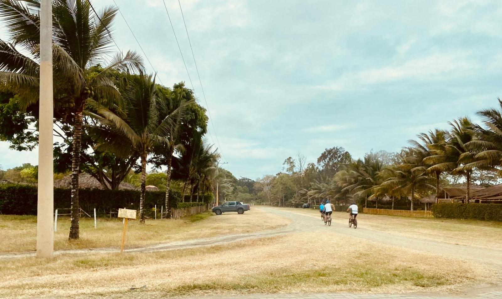 Photo 18