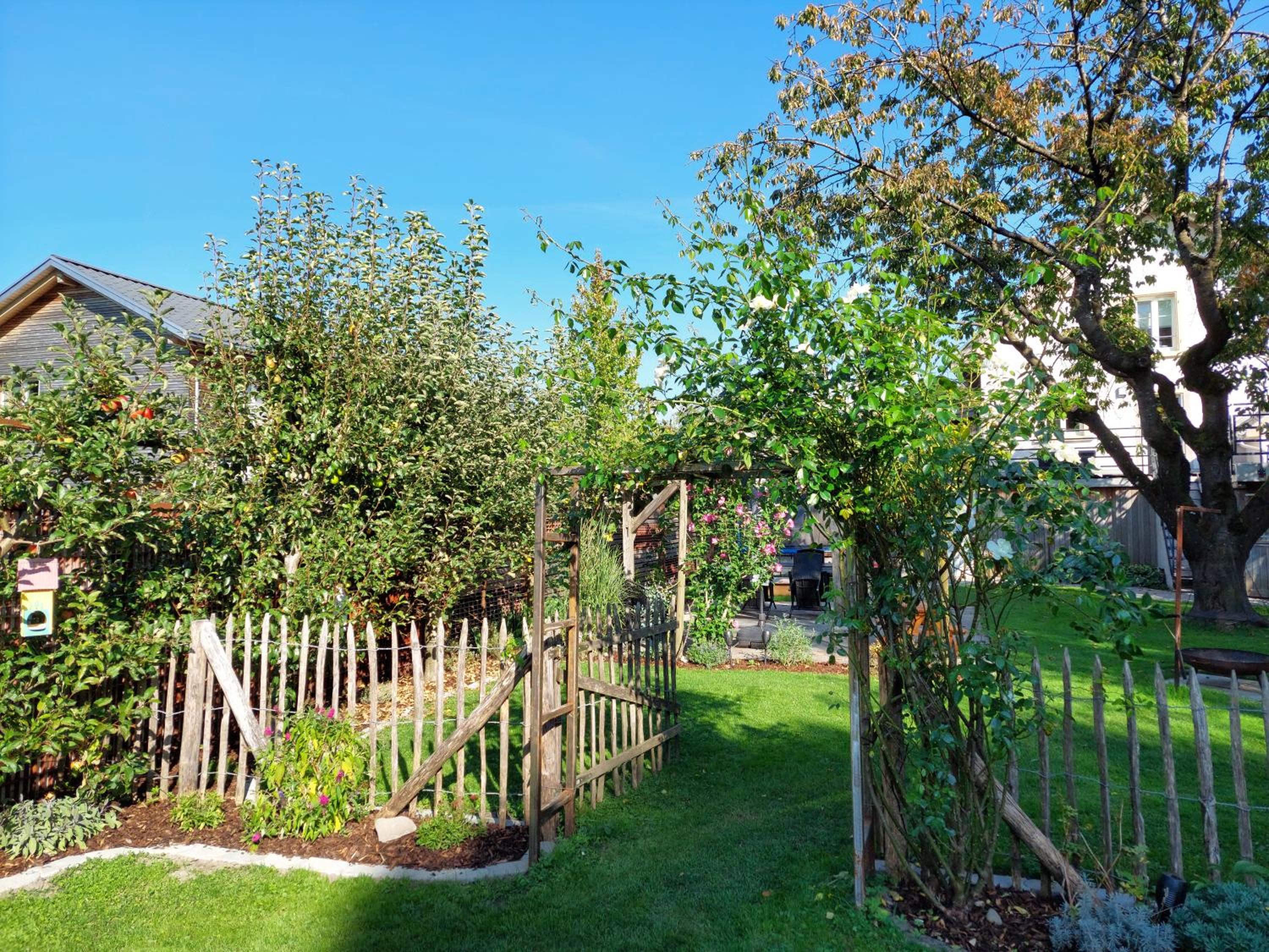 Photo 21