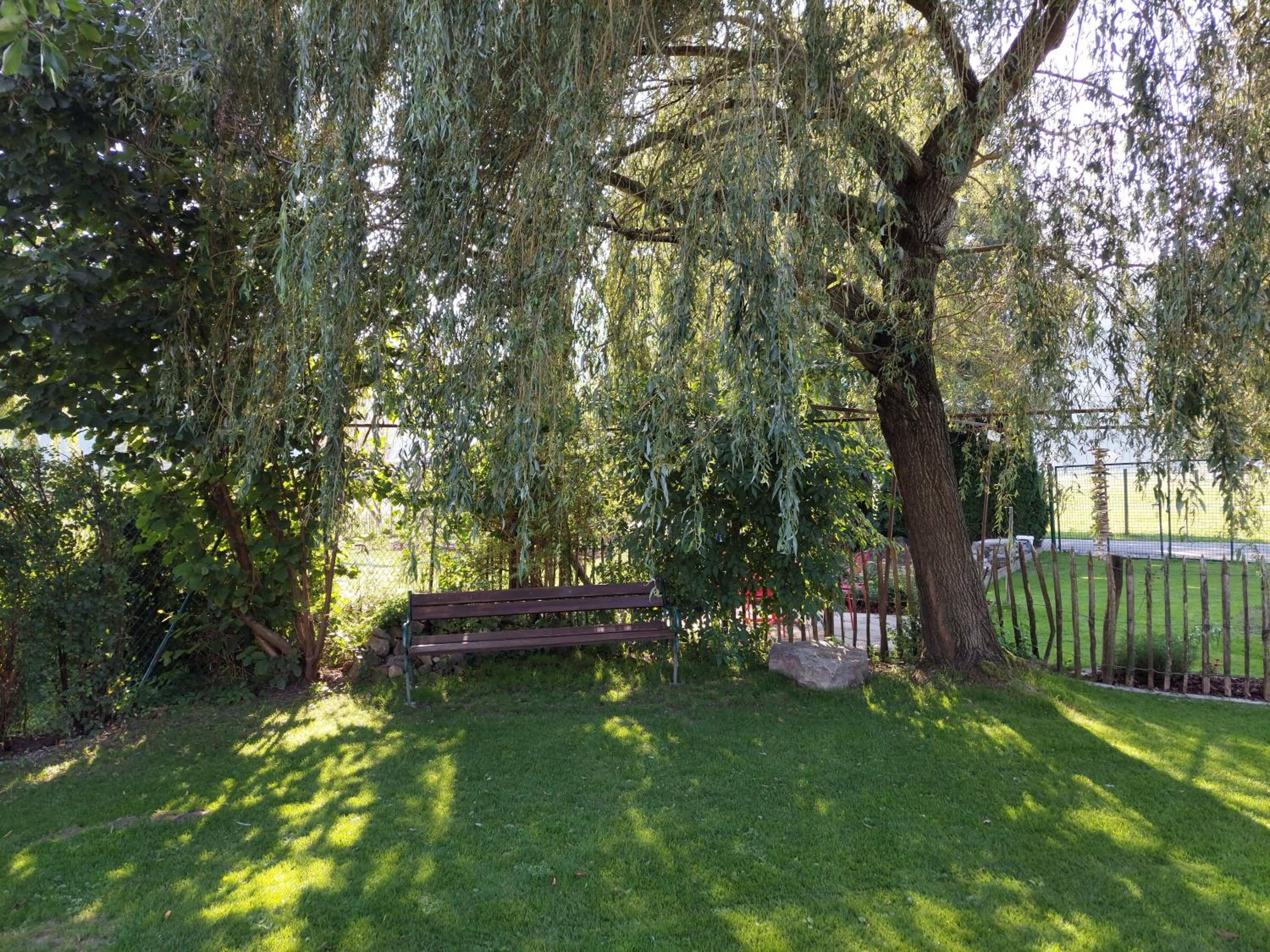 Photo 20