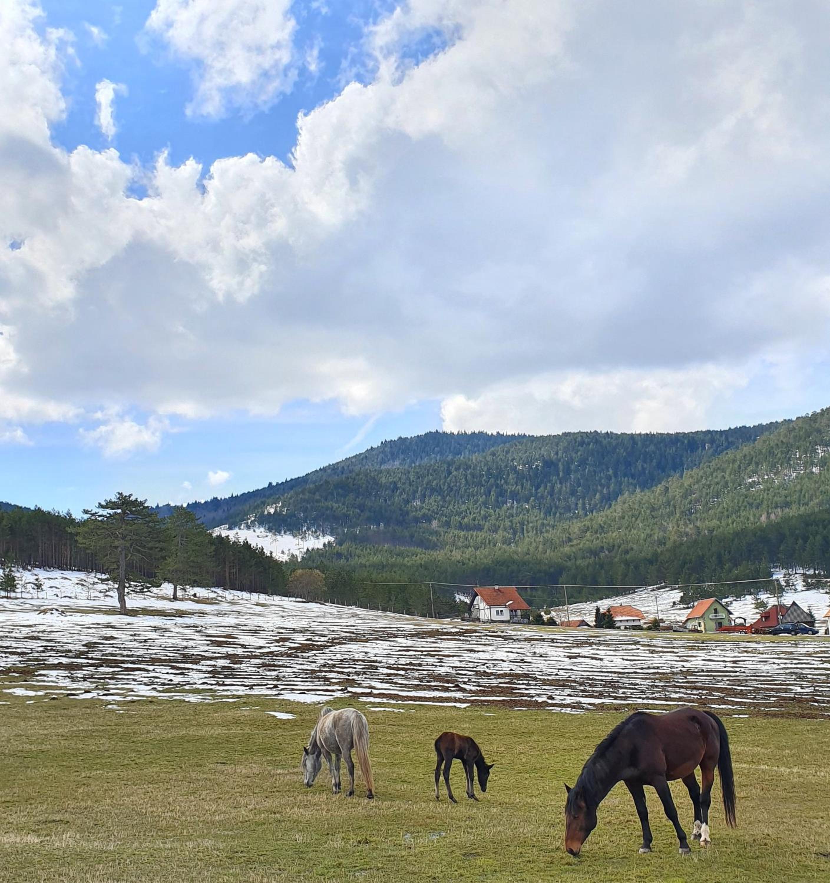 Vila Jela Tornik