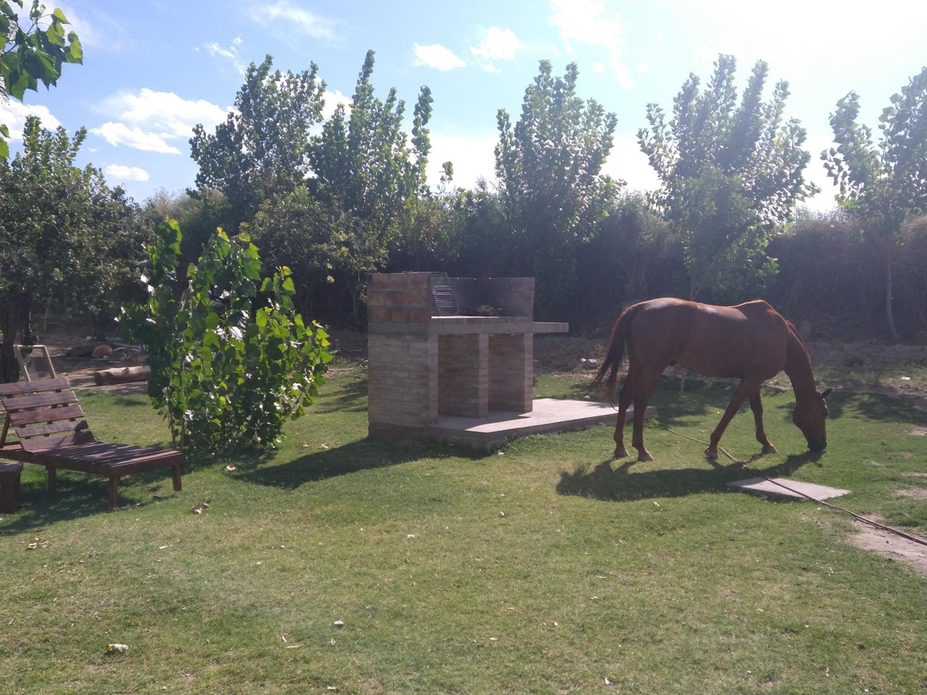 Quinta Las Marías - Cabañas
