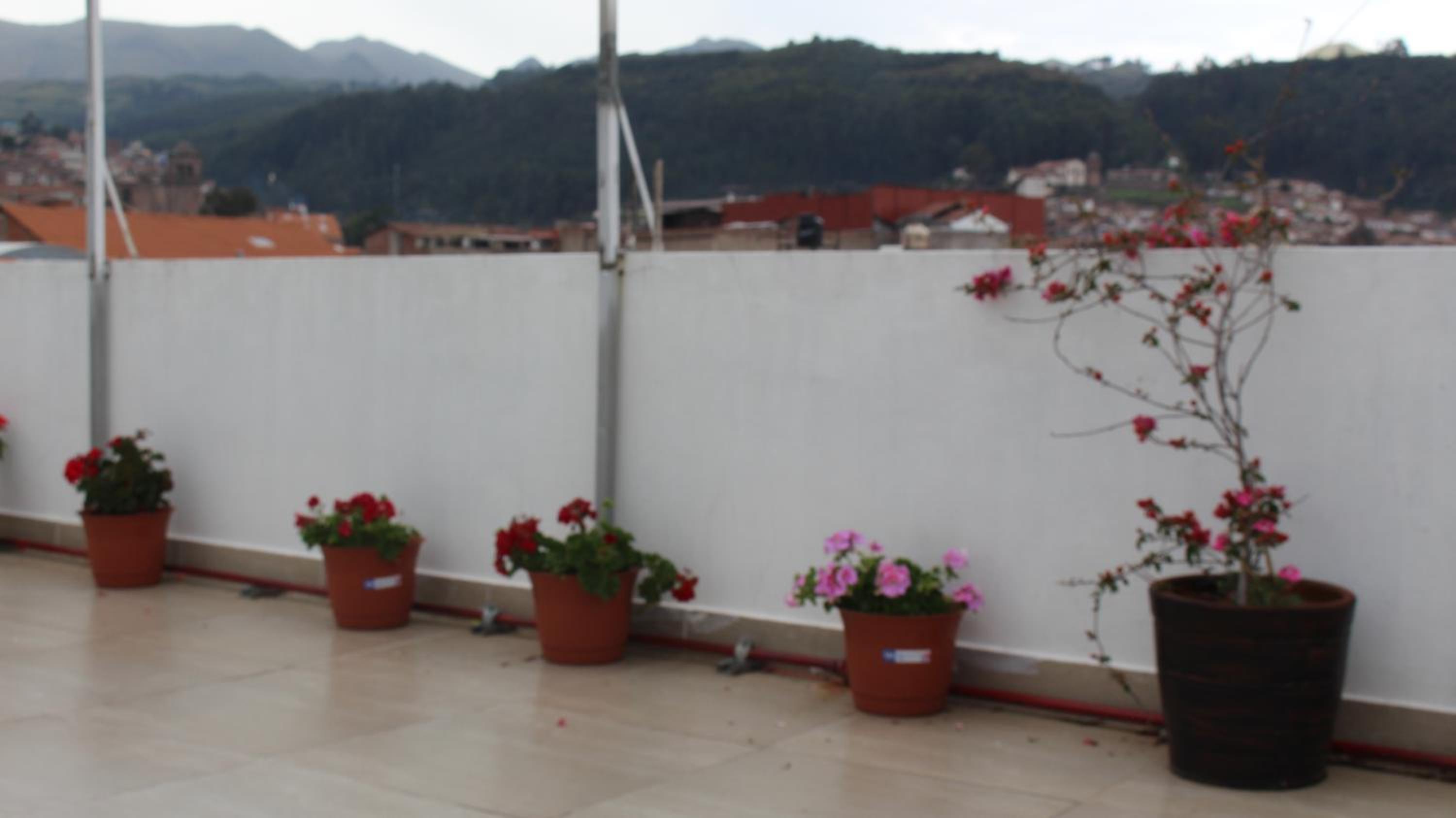 roof