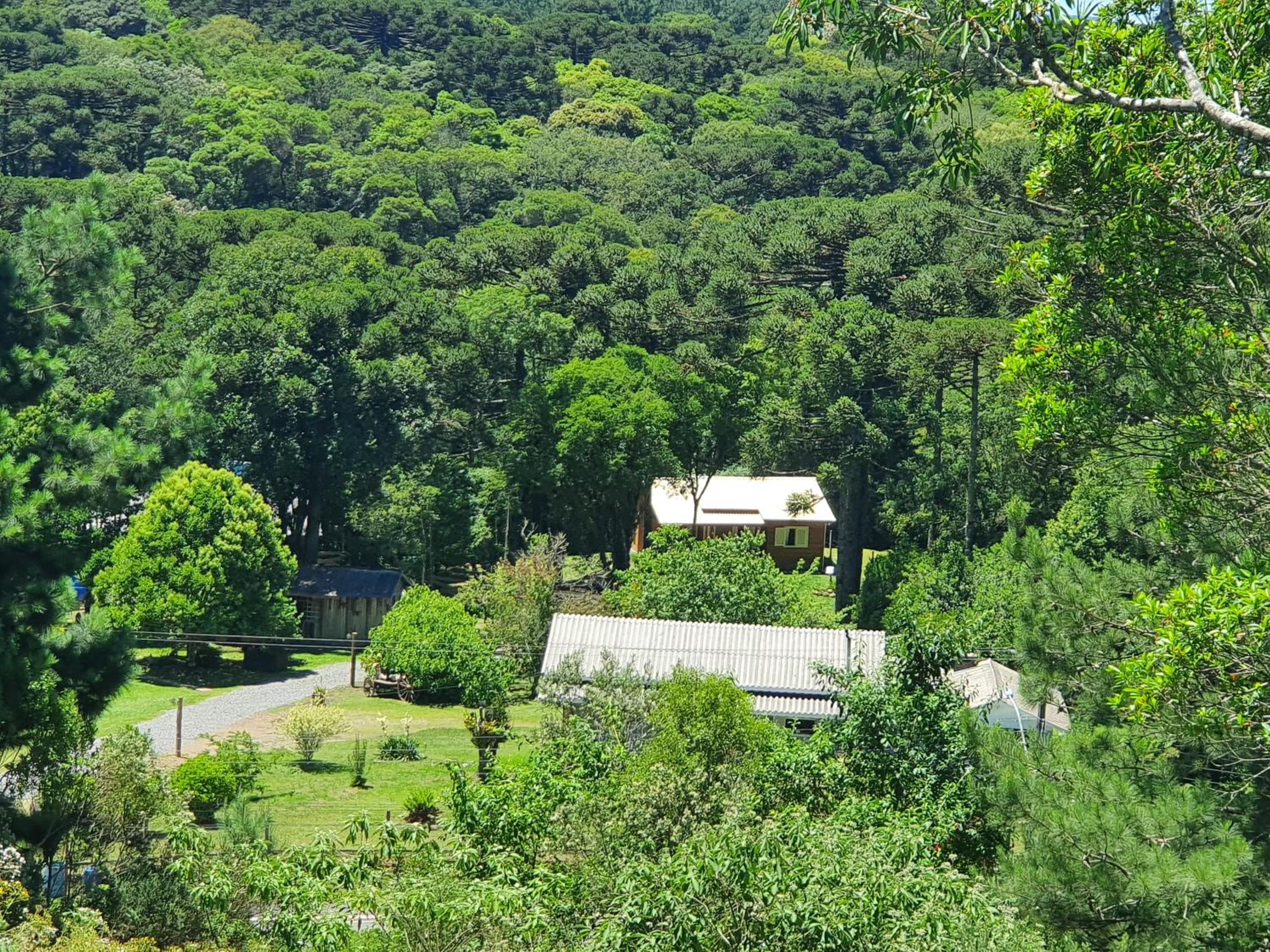 Sitio Recanto Feliz