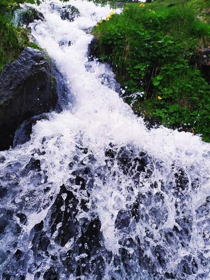 Photo 27