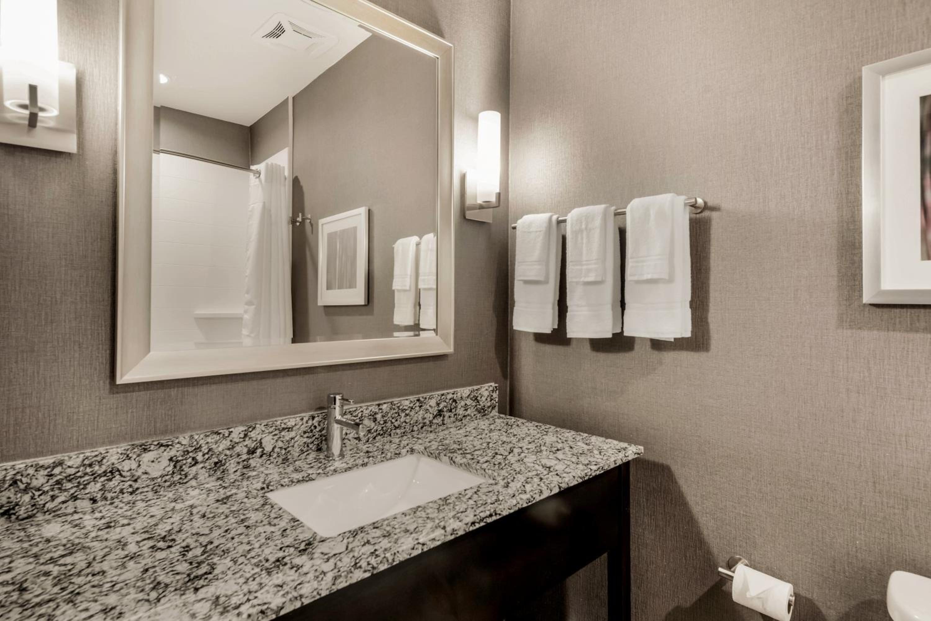 San Jose Vacations - Holiday Inn Hotel  Suites Silicon Valley - Milpitas, an IHG Hotel - Property Image 5