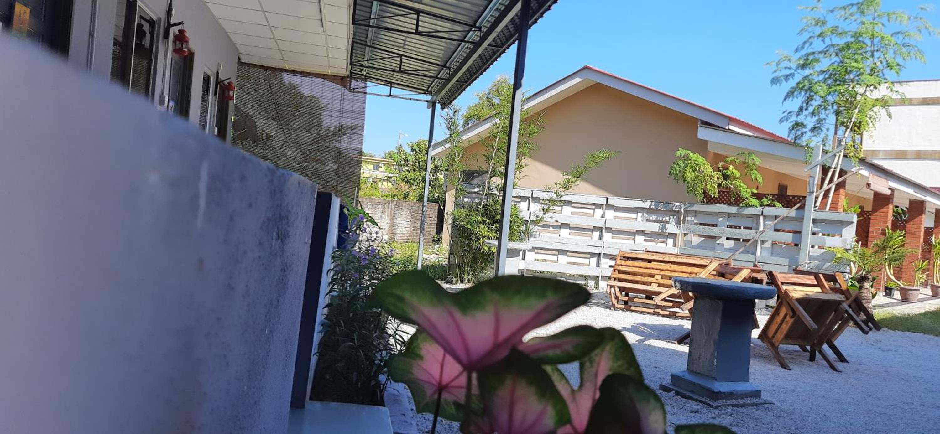 Photo 15