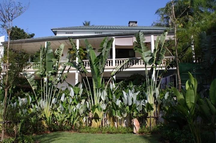 Photo 22