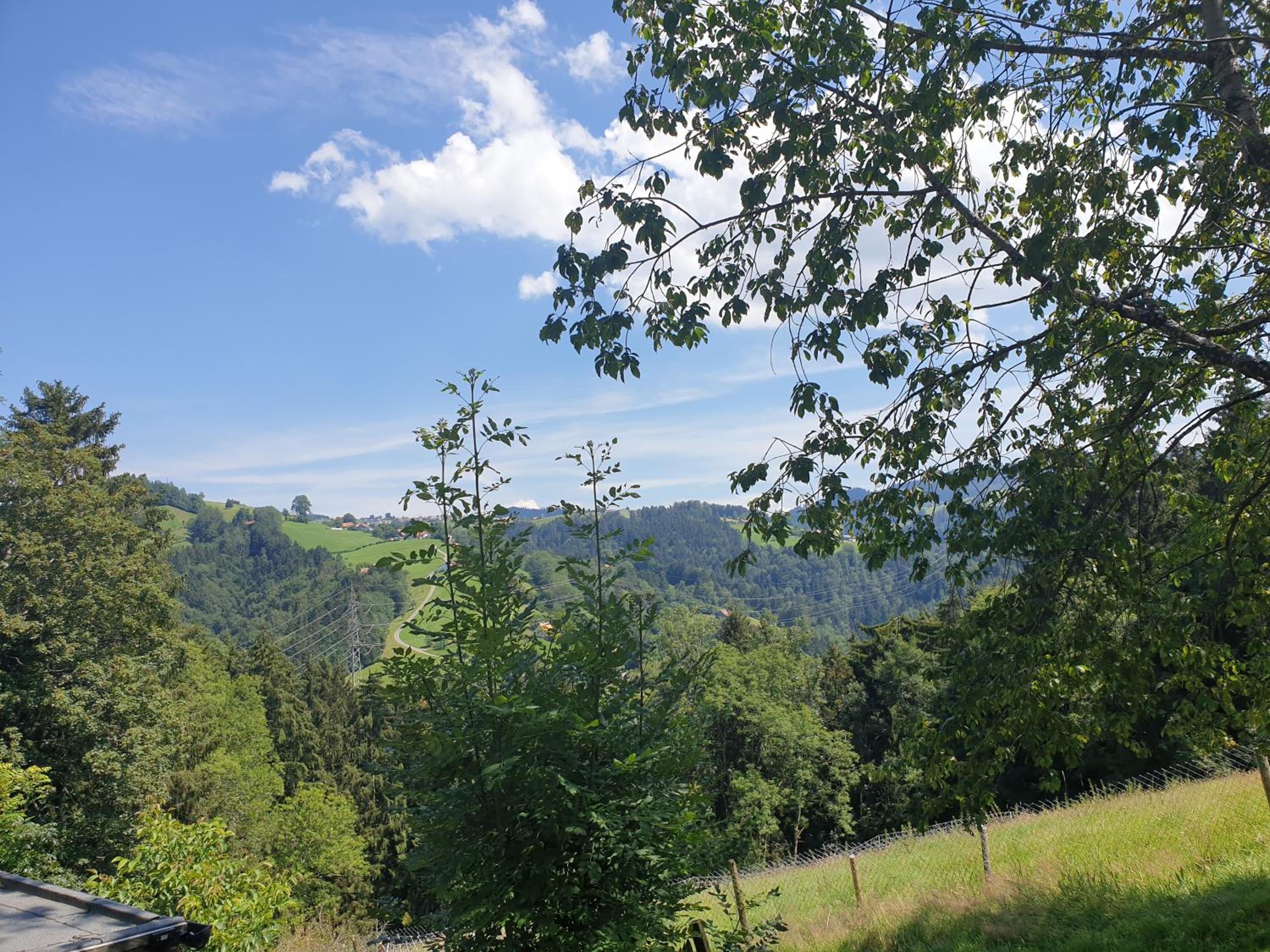 Grosses Ferienhaus für traumhafte Familienferien im Appenzellerland
