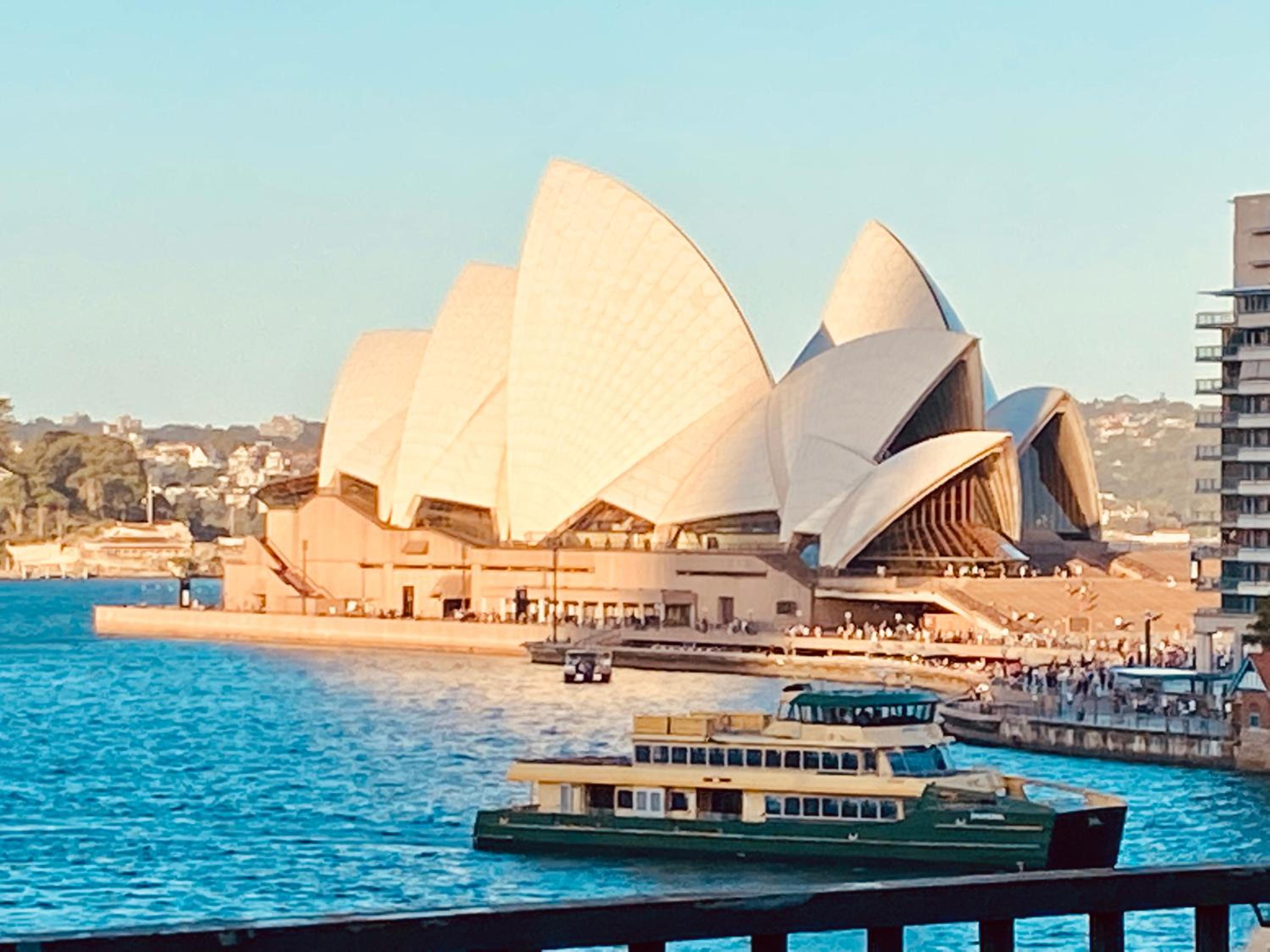 VIVID Sydney catch ferry from Manly to see best view of light show