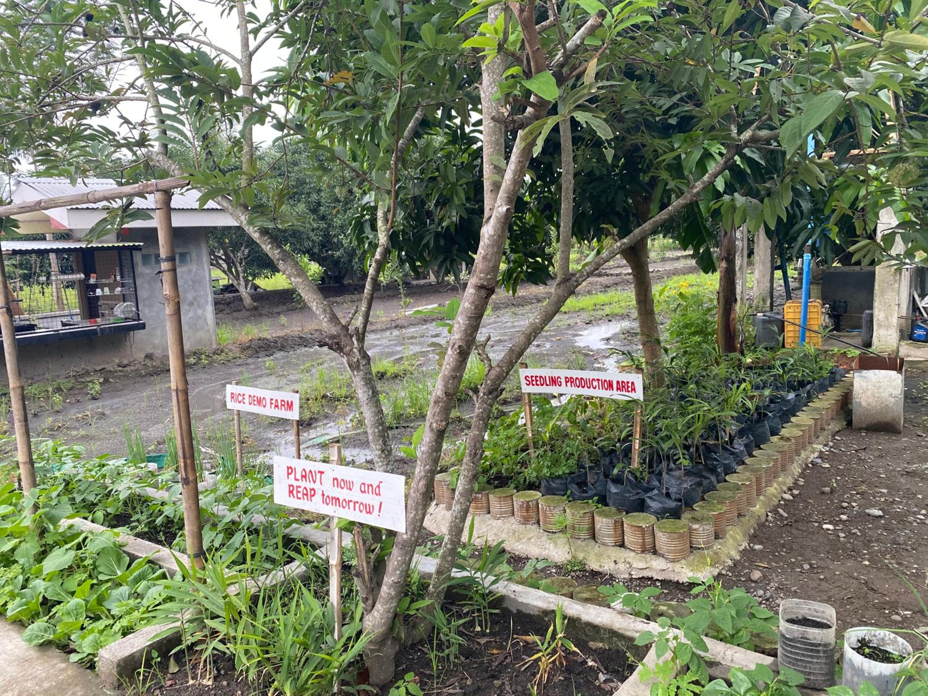 Photo 9