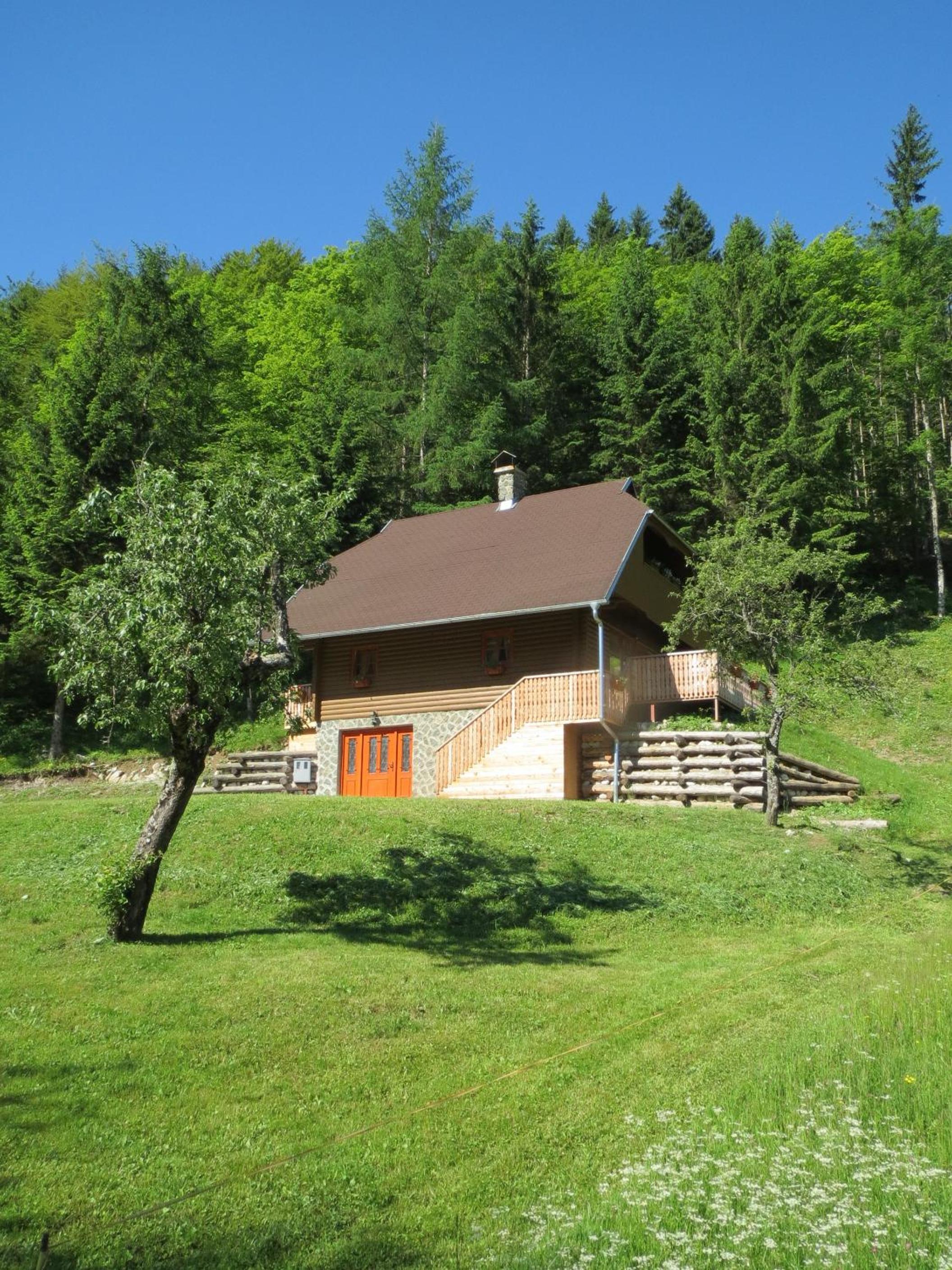 Apartmaji Brložnica pod Veliko planino view 3