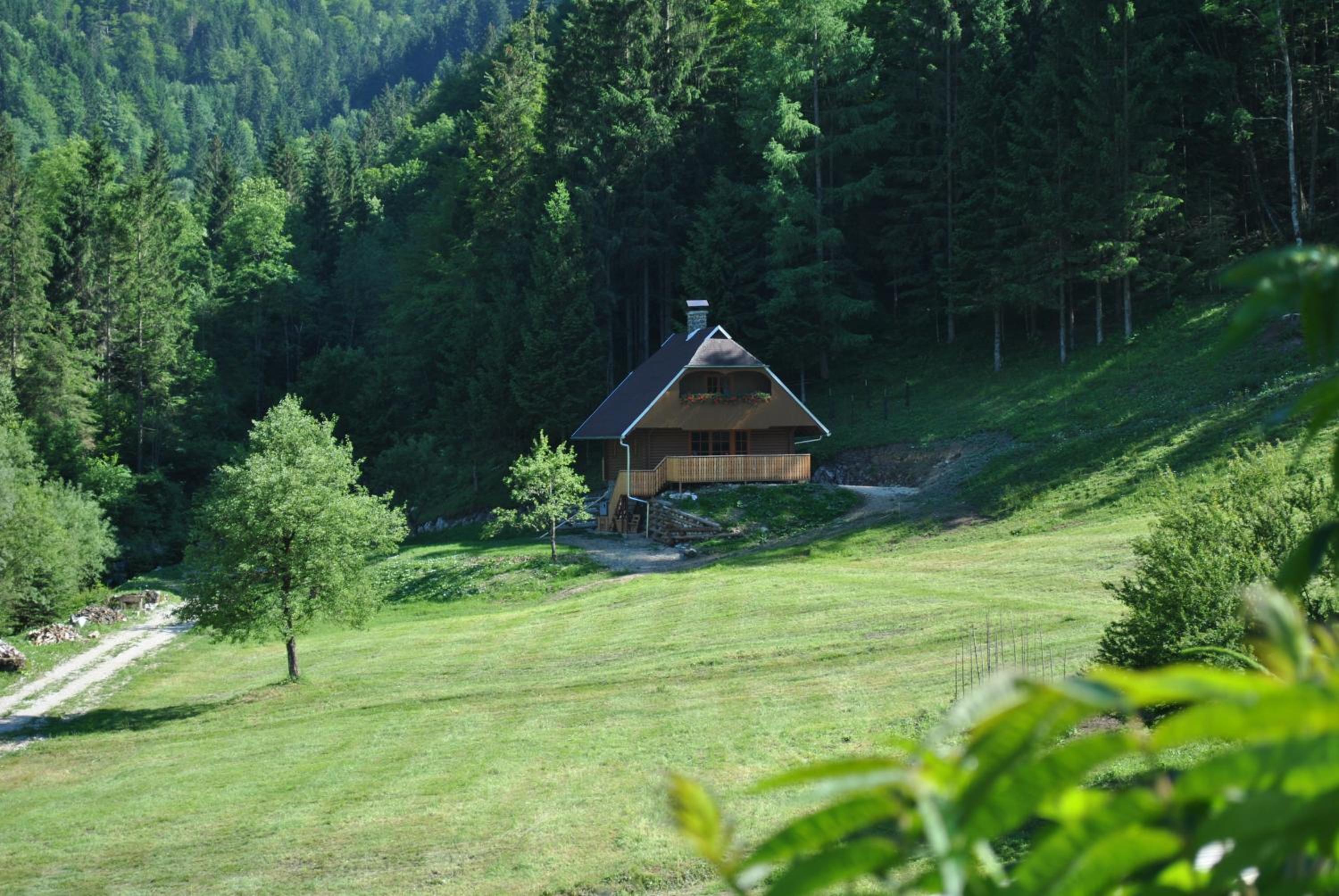 Apartmaji Brložnica pod Veliko planino view 5