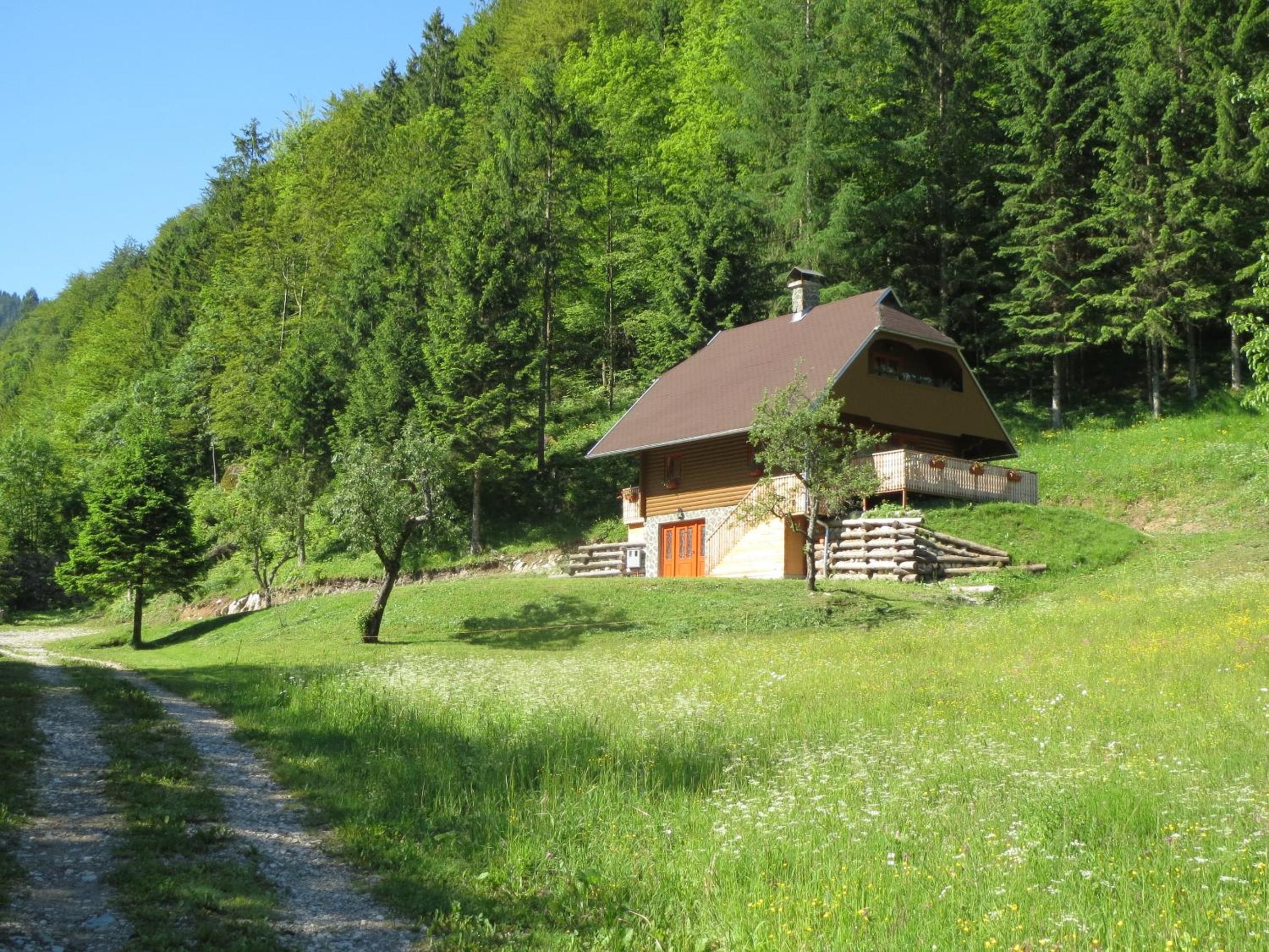 Apartmaji Brložnica pod Veliko planino view 2