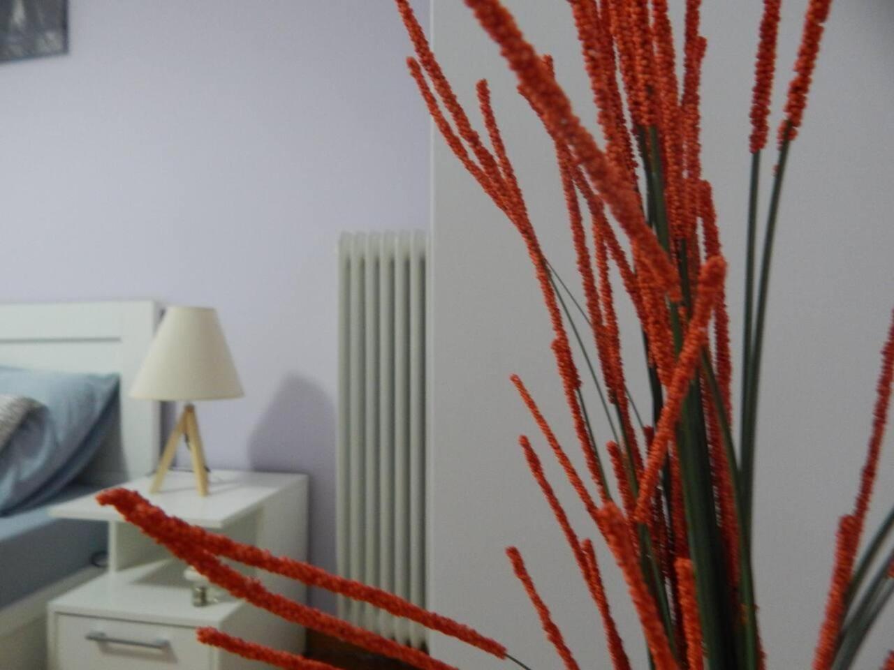 2 Bed Flat - Sleeps 4 - Pets - Parking - Wifi
