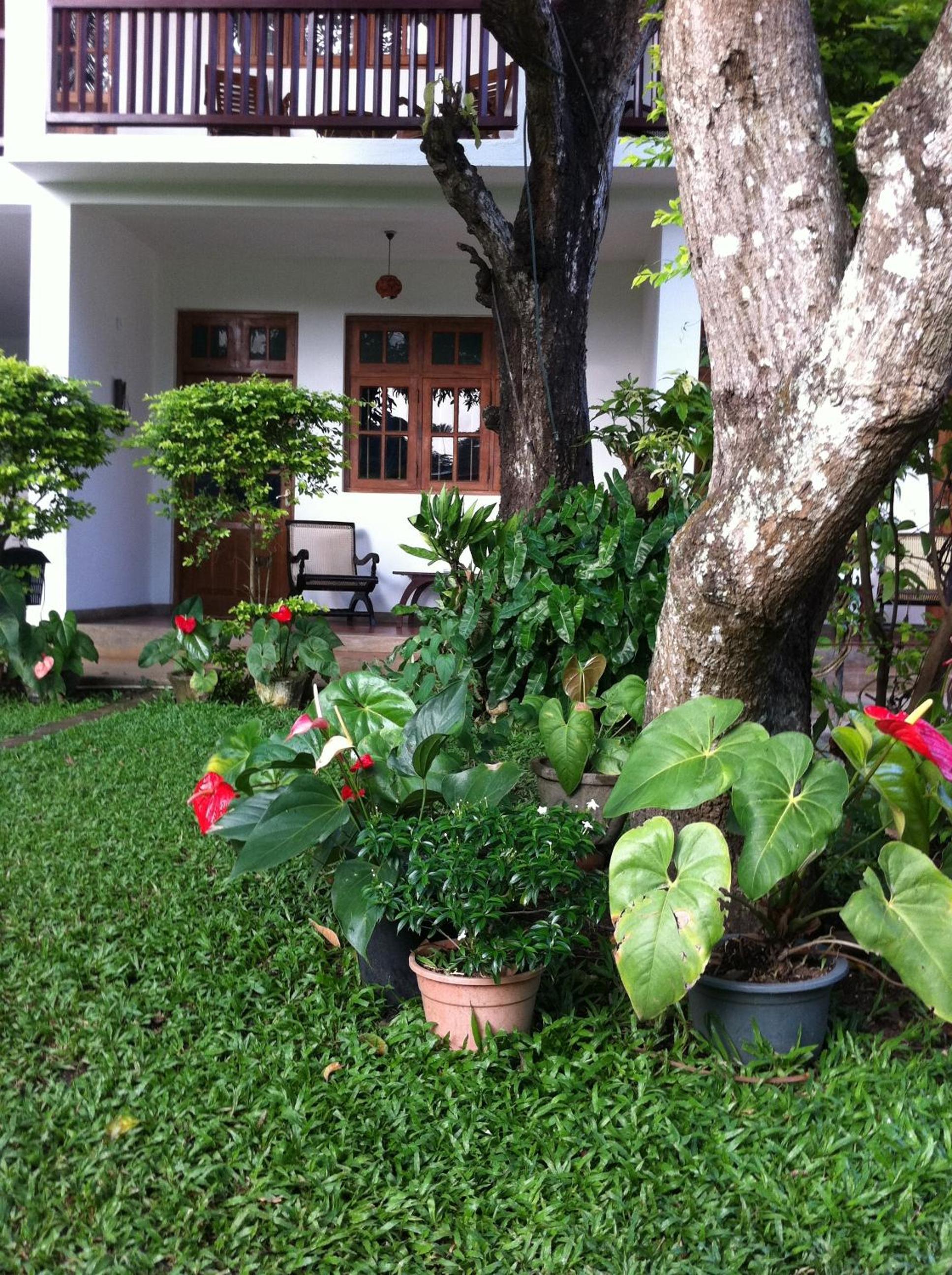 Little Paradise Tourist Guest House and Holiday Home, photo 30