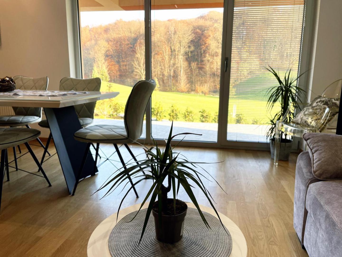 Holiday Home Hanna Toplice Sveti Martin view 4