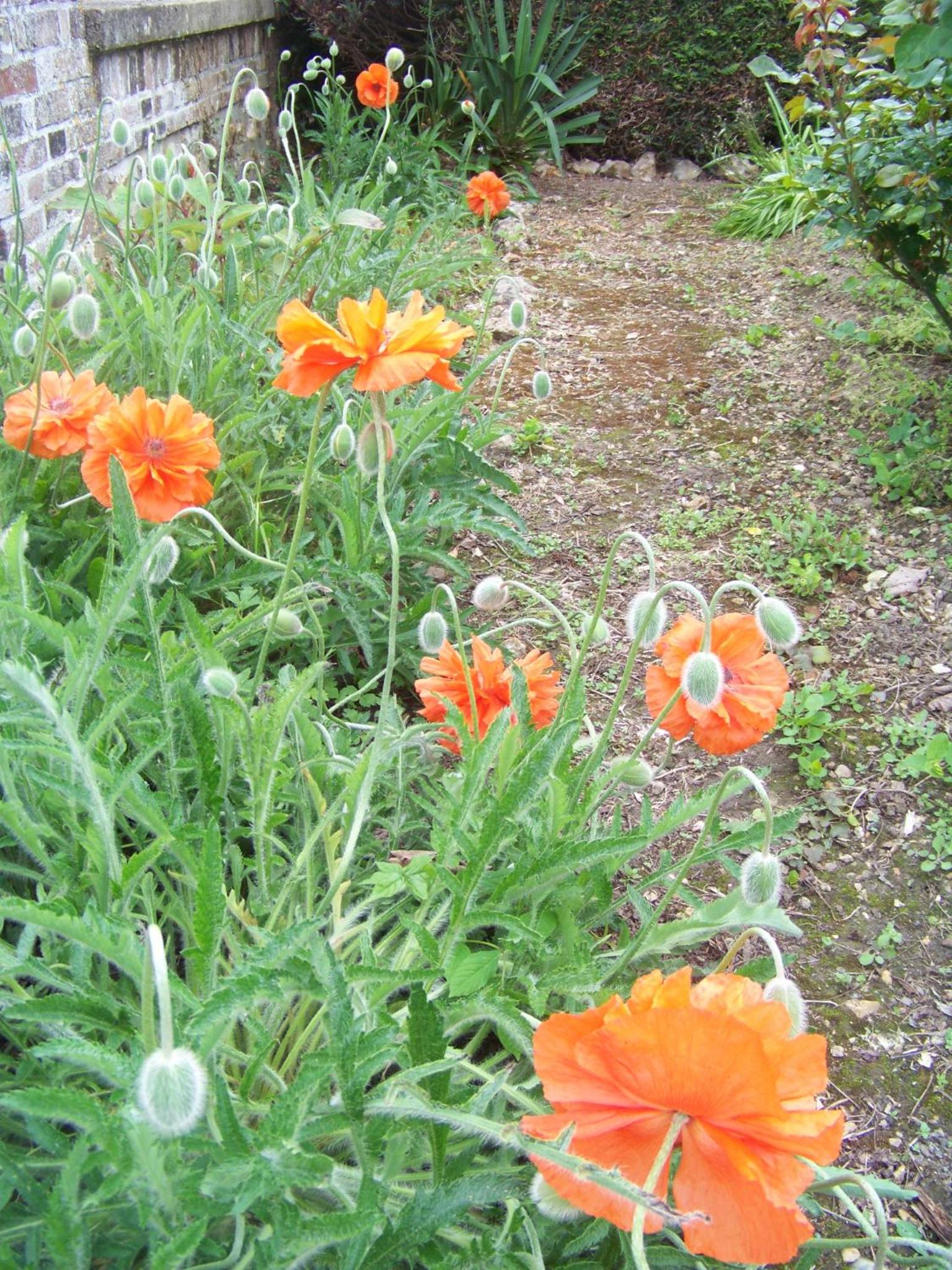 Photo 25