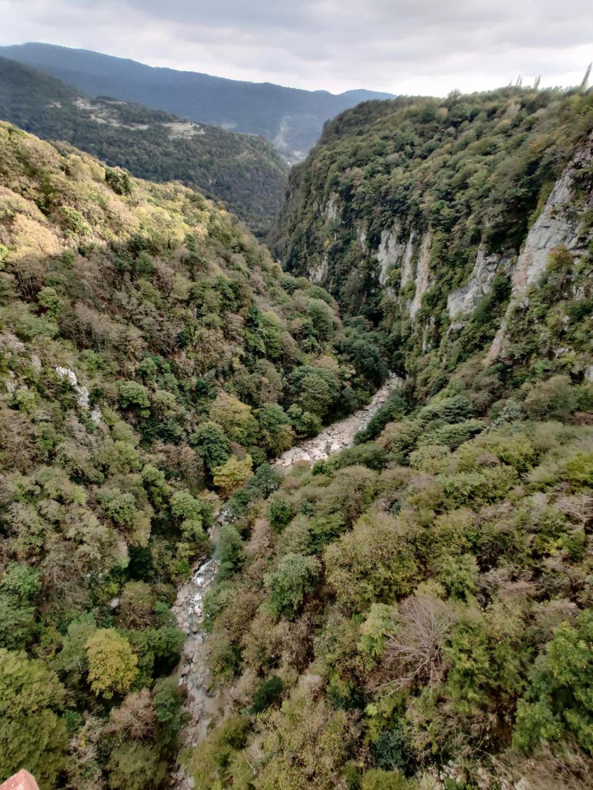 Photo 44