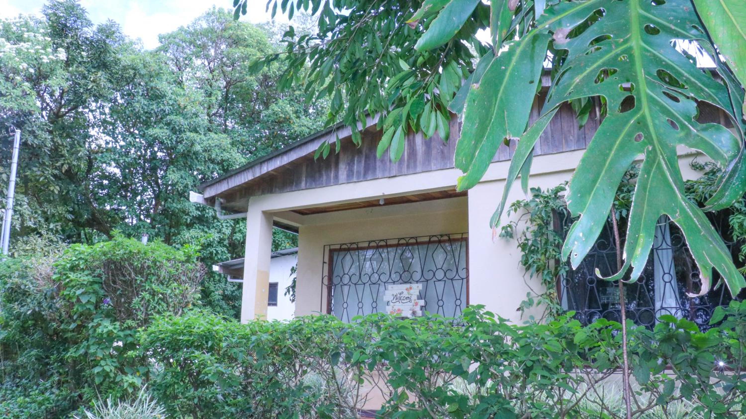 Casa Copalchi view 3