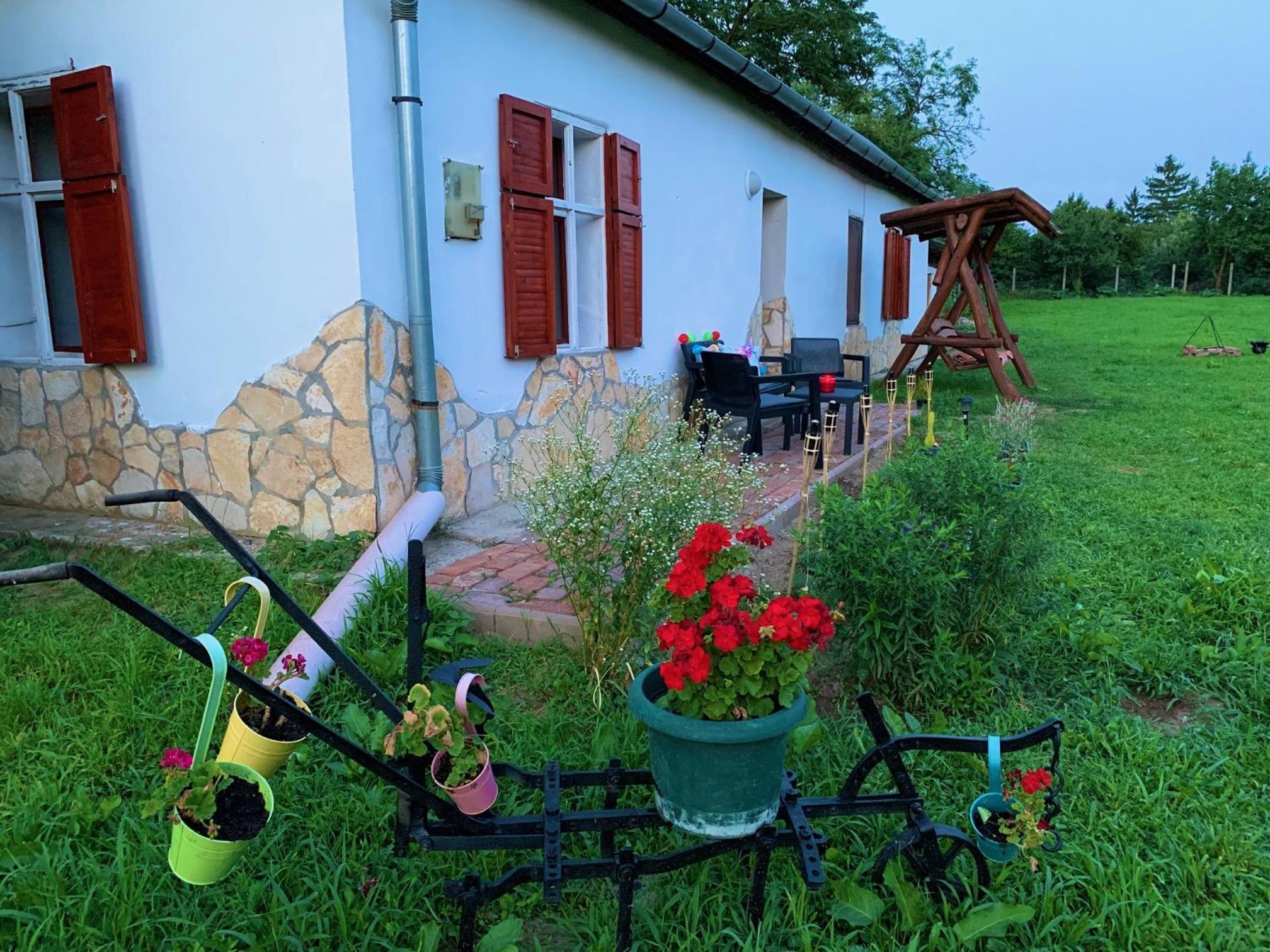 Tiszai Fenyves Apartman view 2