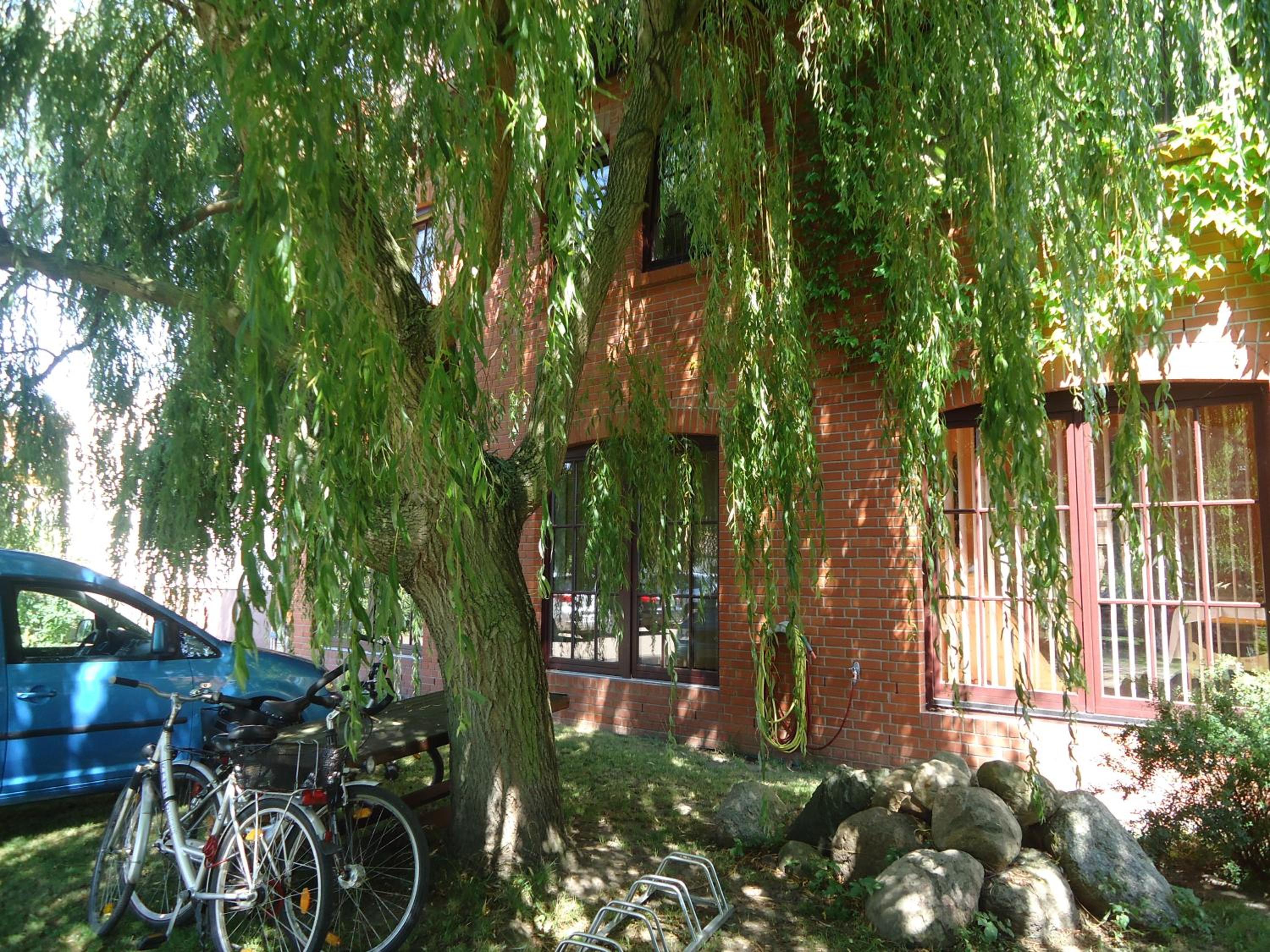 Photo 7