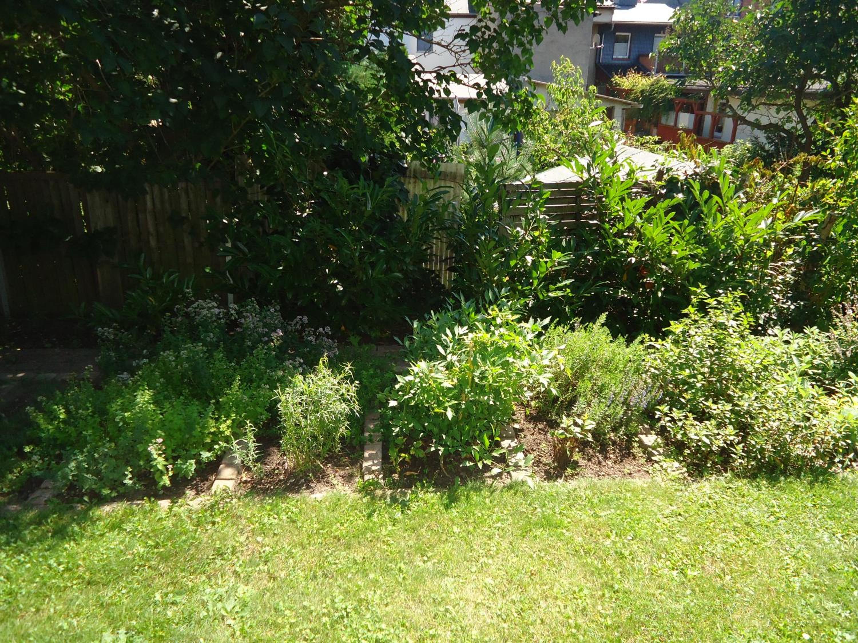 Photo 21