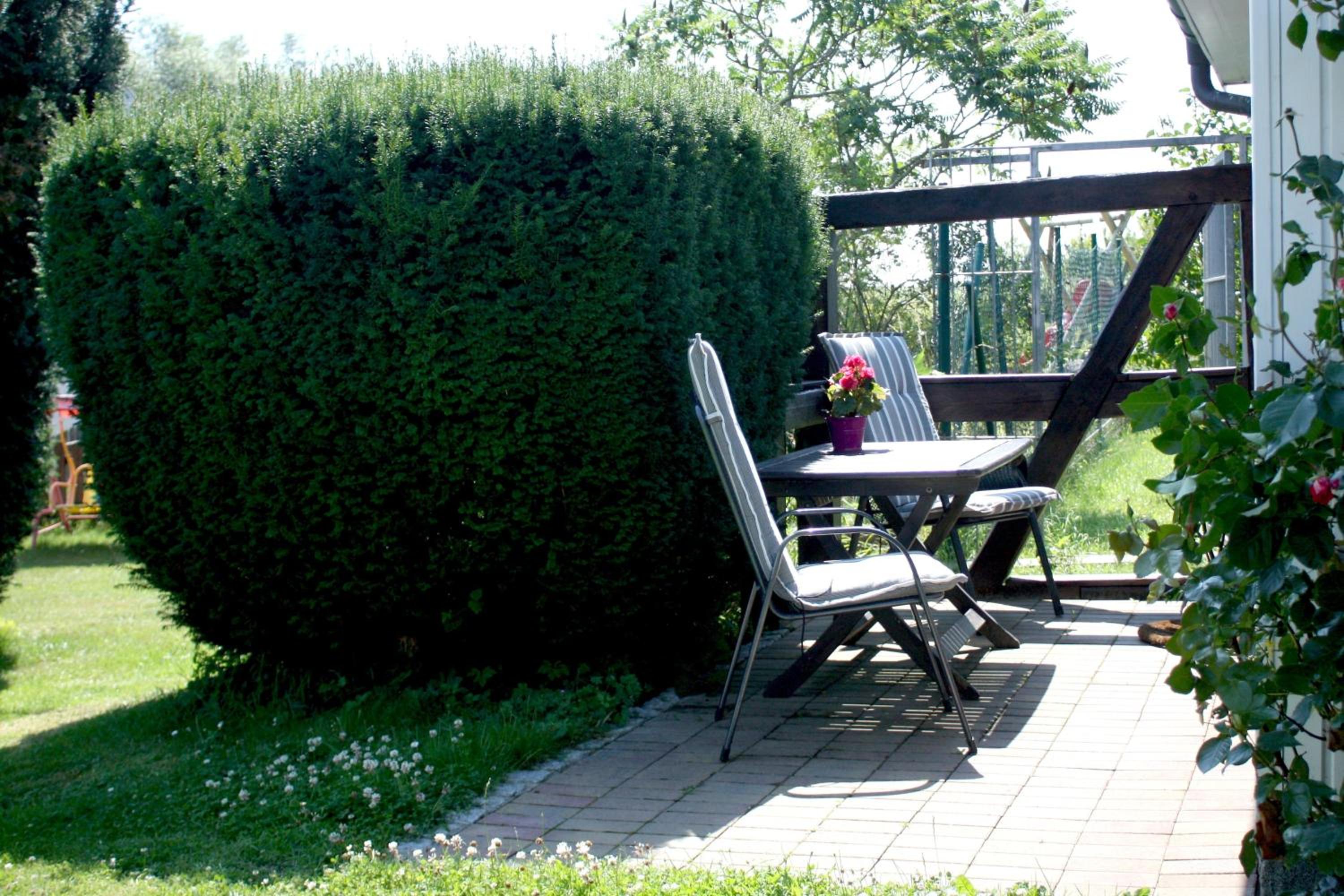 Photo 27