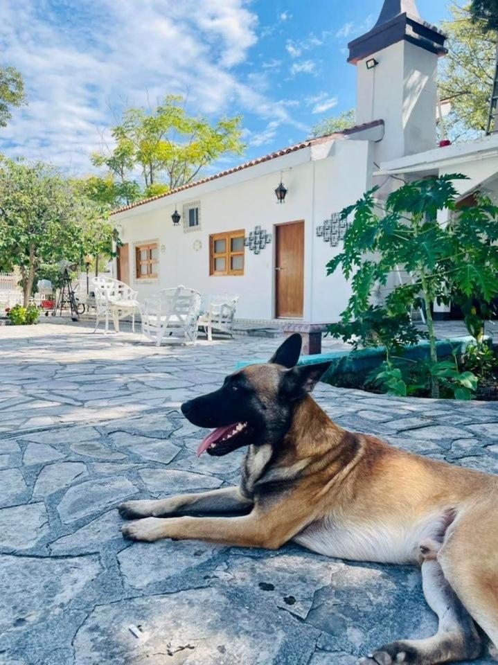Photo 33