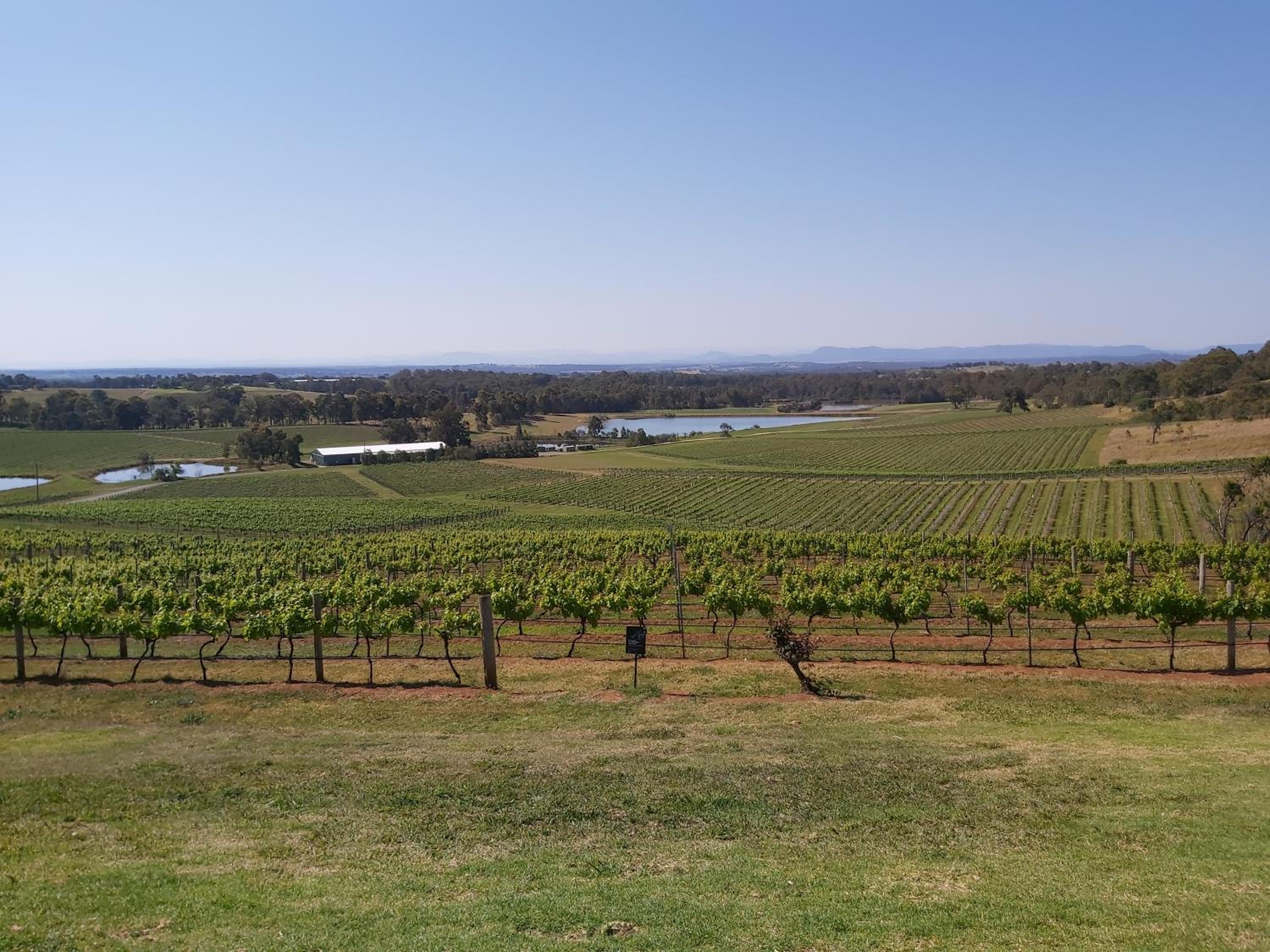 HOLIDAYS ON LOVE STREET / HUNTER VALLEY