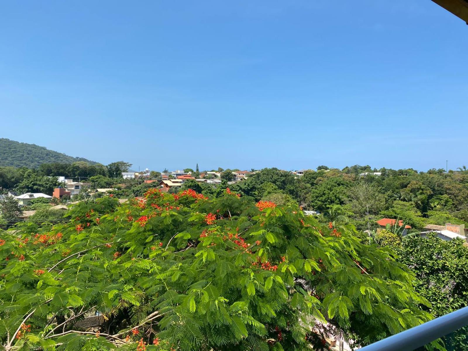 Ferias floripa 122