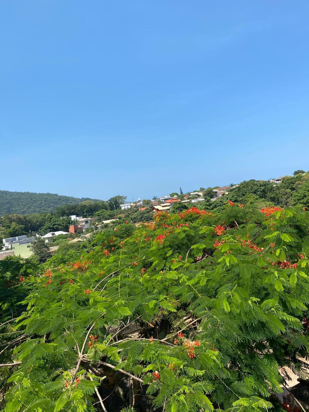 Ferias floripa 122