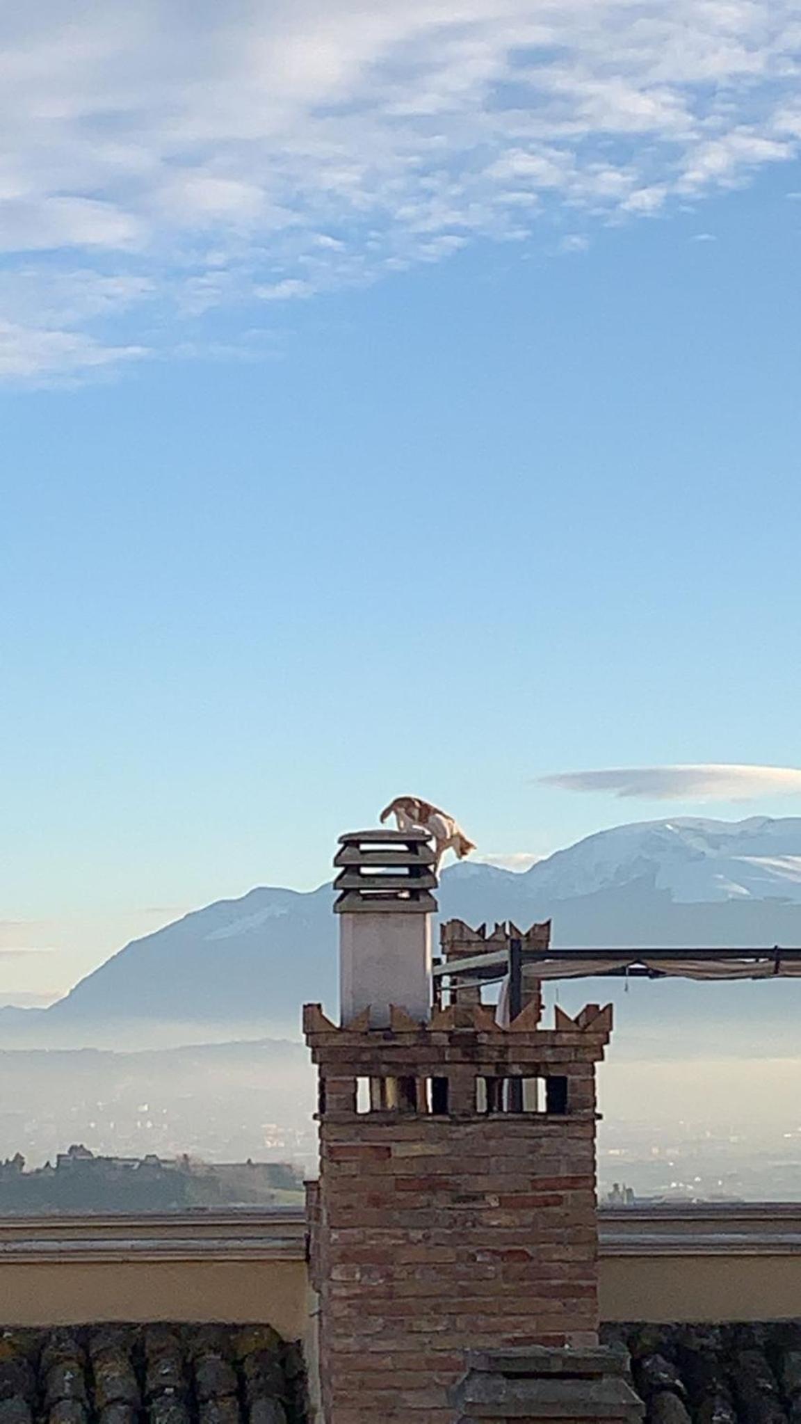 other