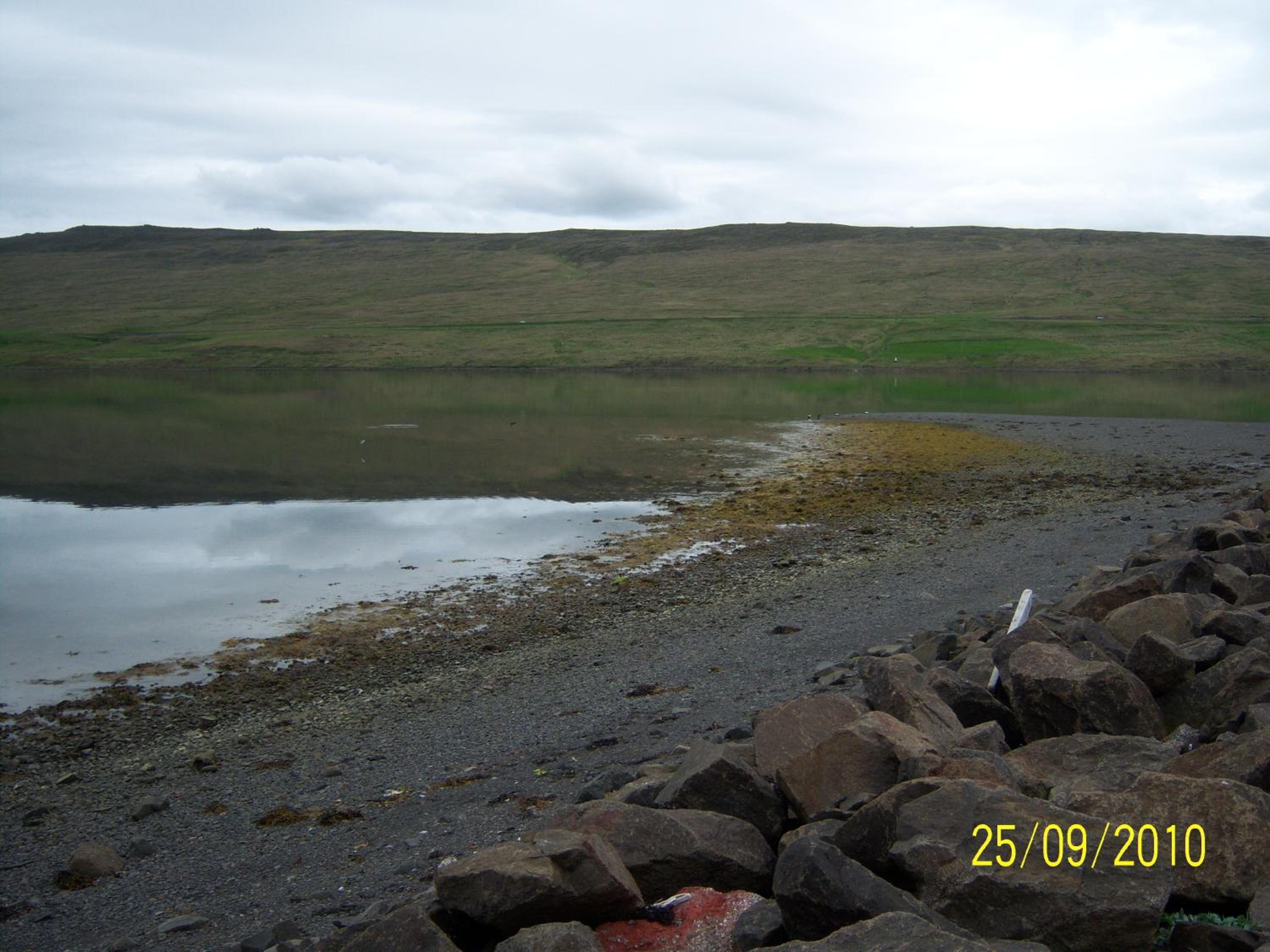 Photo 45