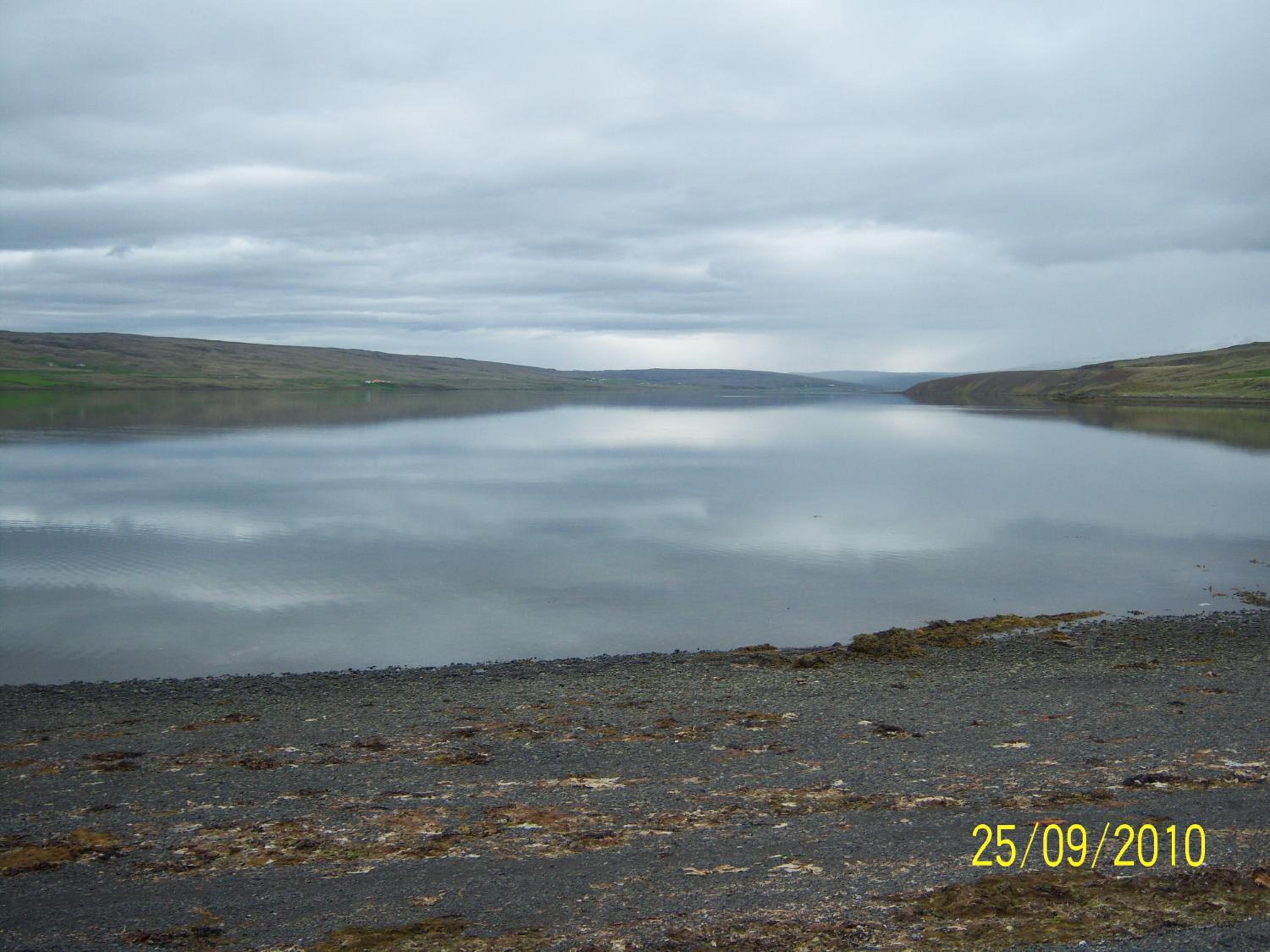 Photo 44