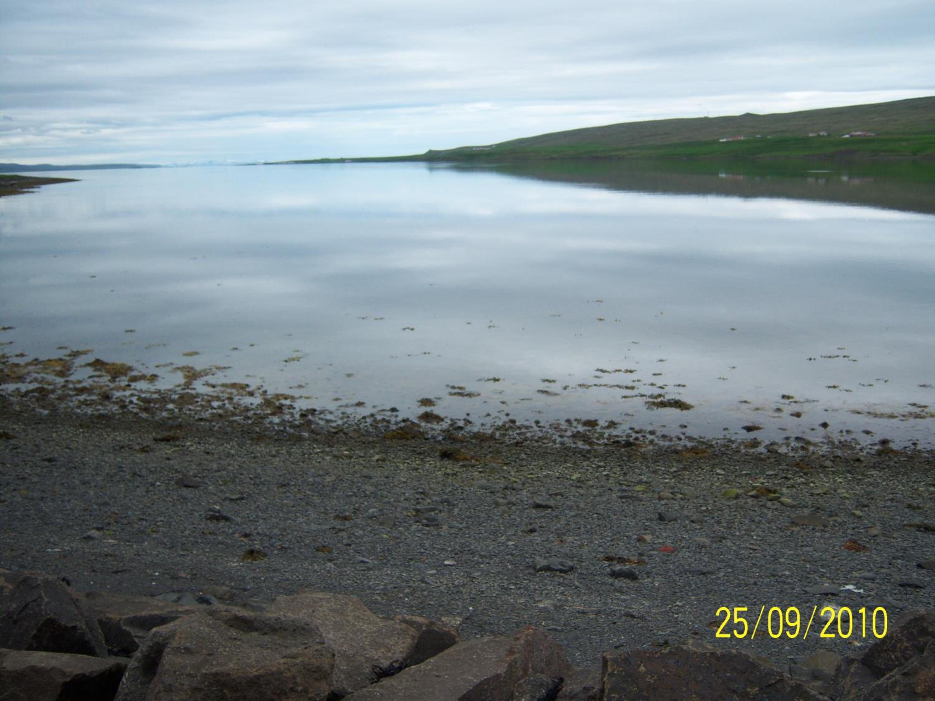 Photo 46