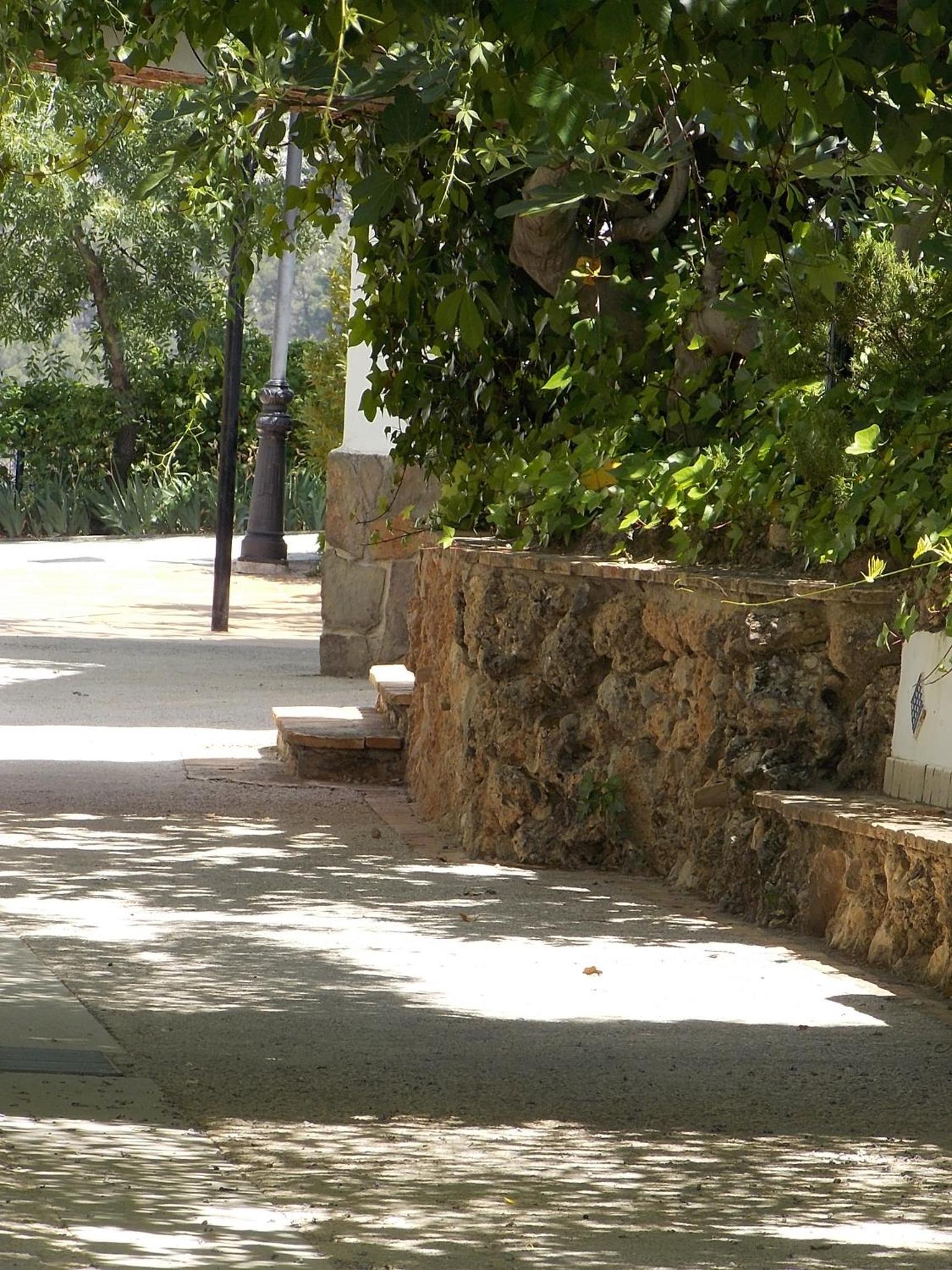 Photo 45