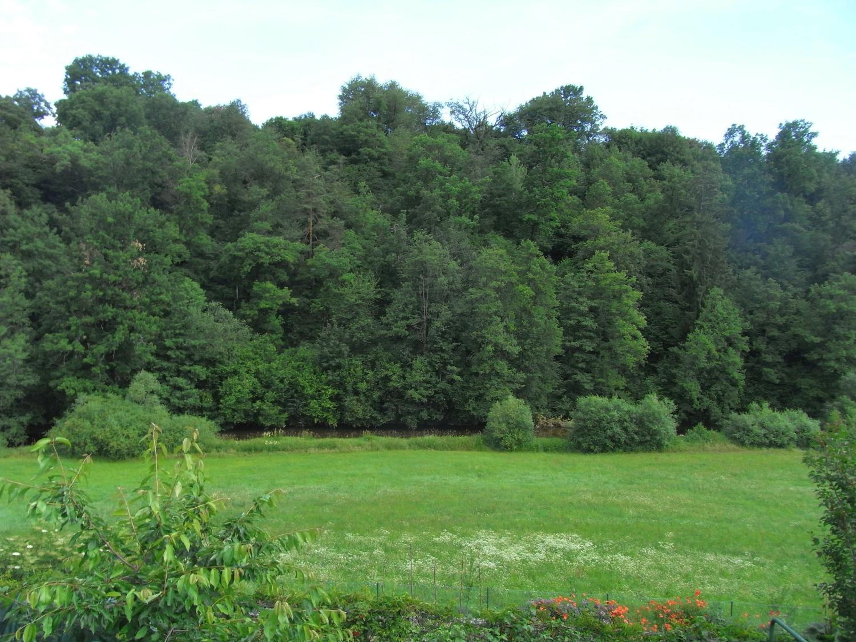 Zwettltalblick view 5