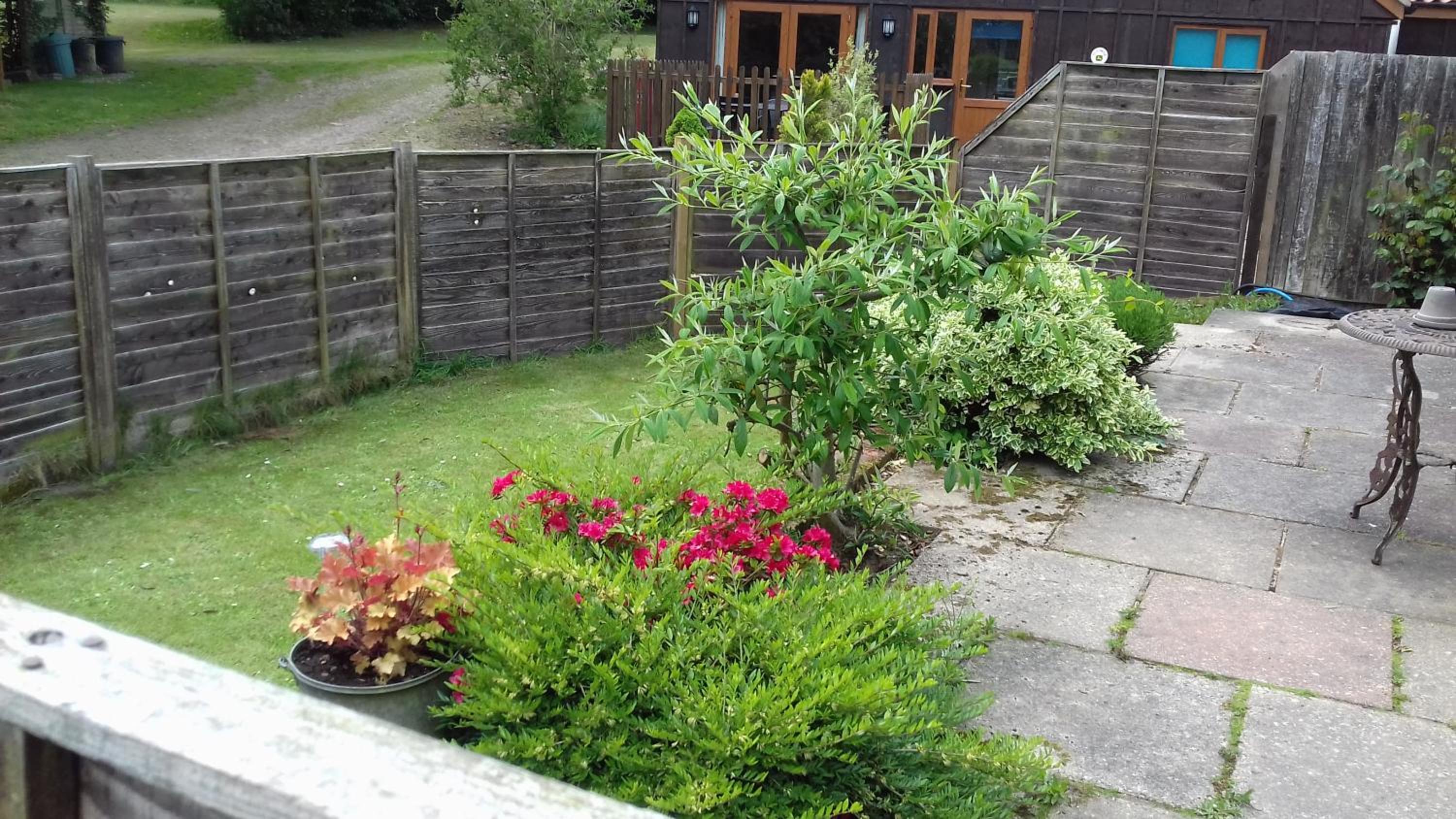 Pinewood Cottage view 3