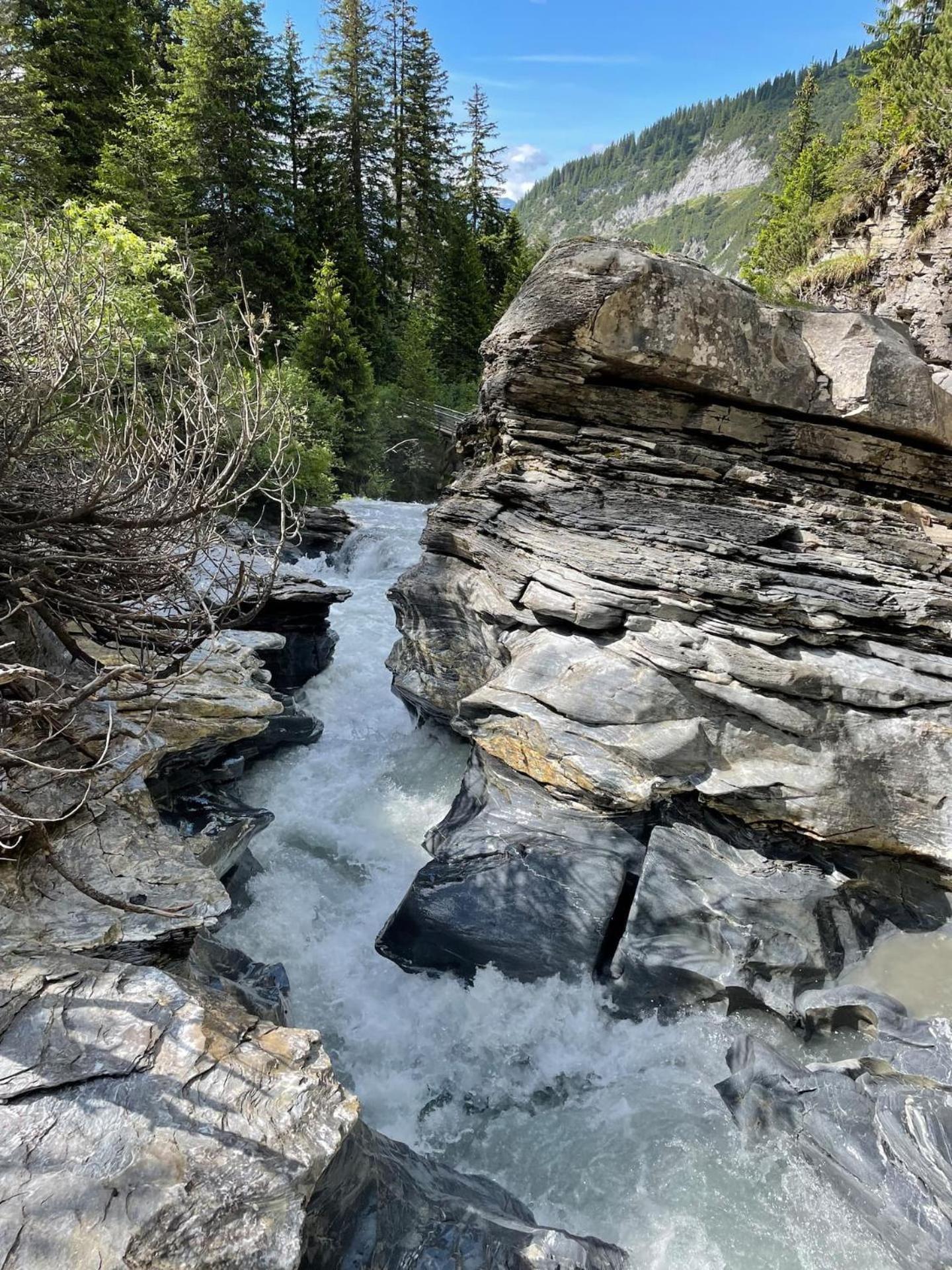 Photo 19