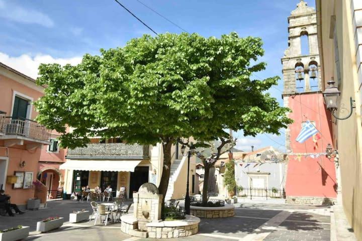 Photo 33