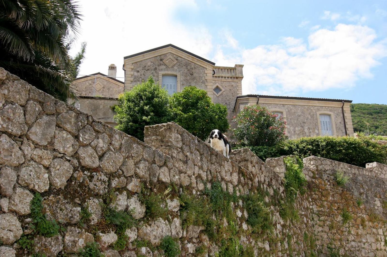Photo 40
