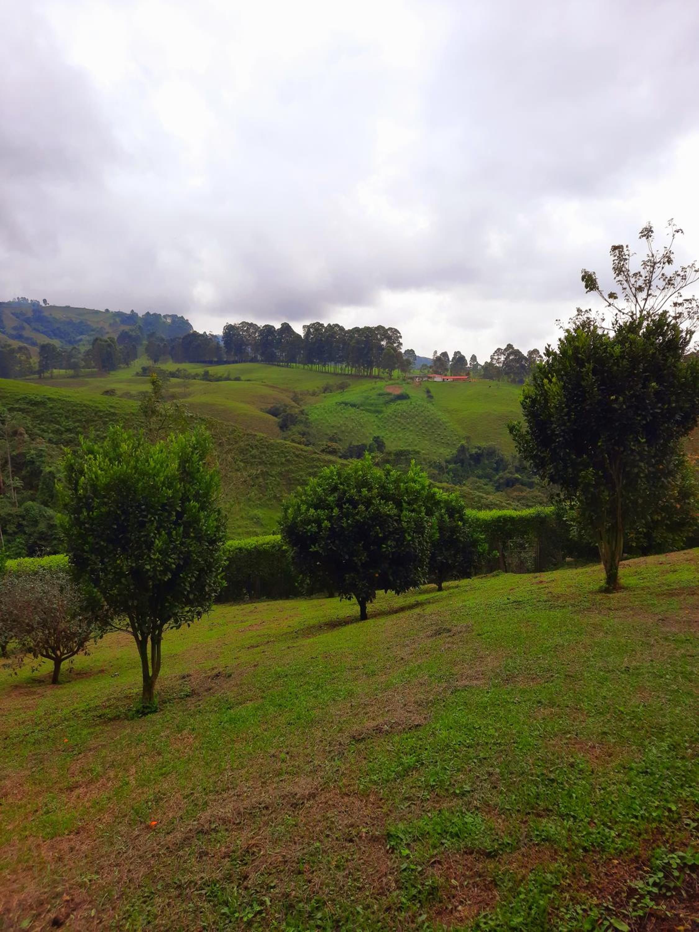 FINCA HOTEL DON JULIO view 5