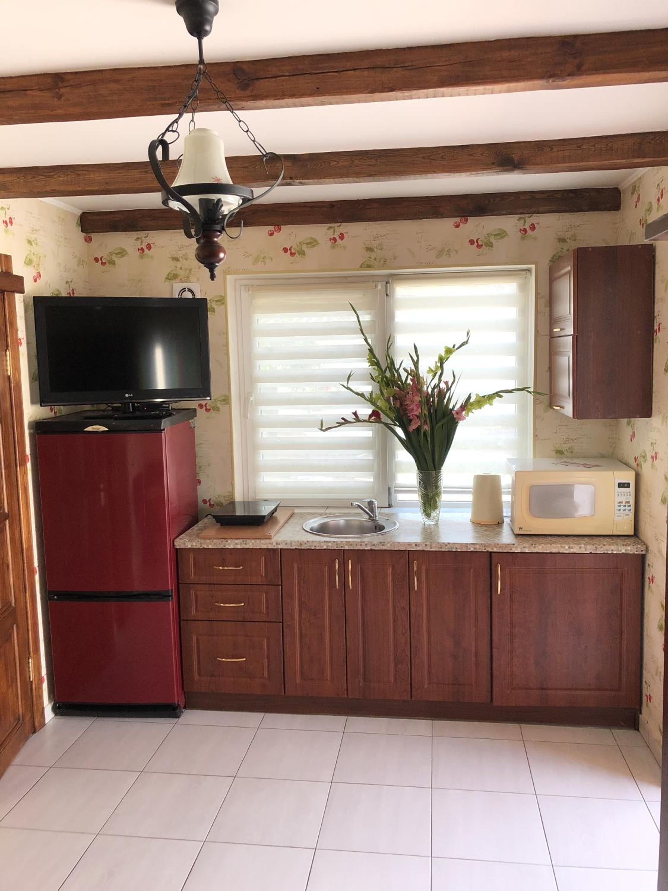 Apartments with kitchen and garden view 5