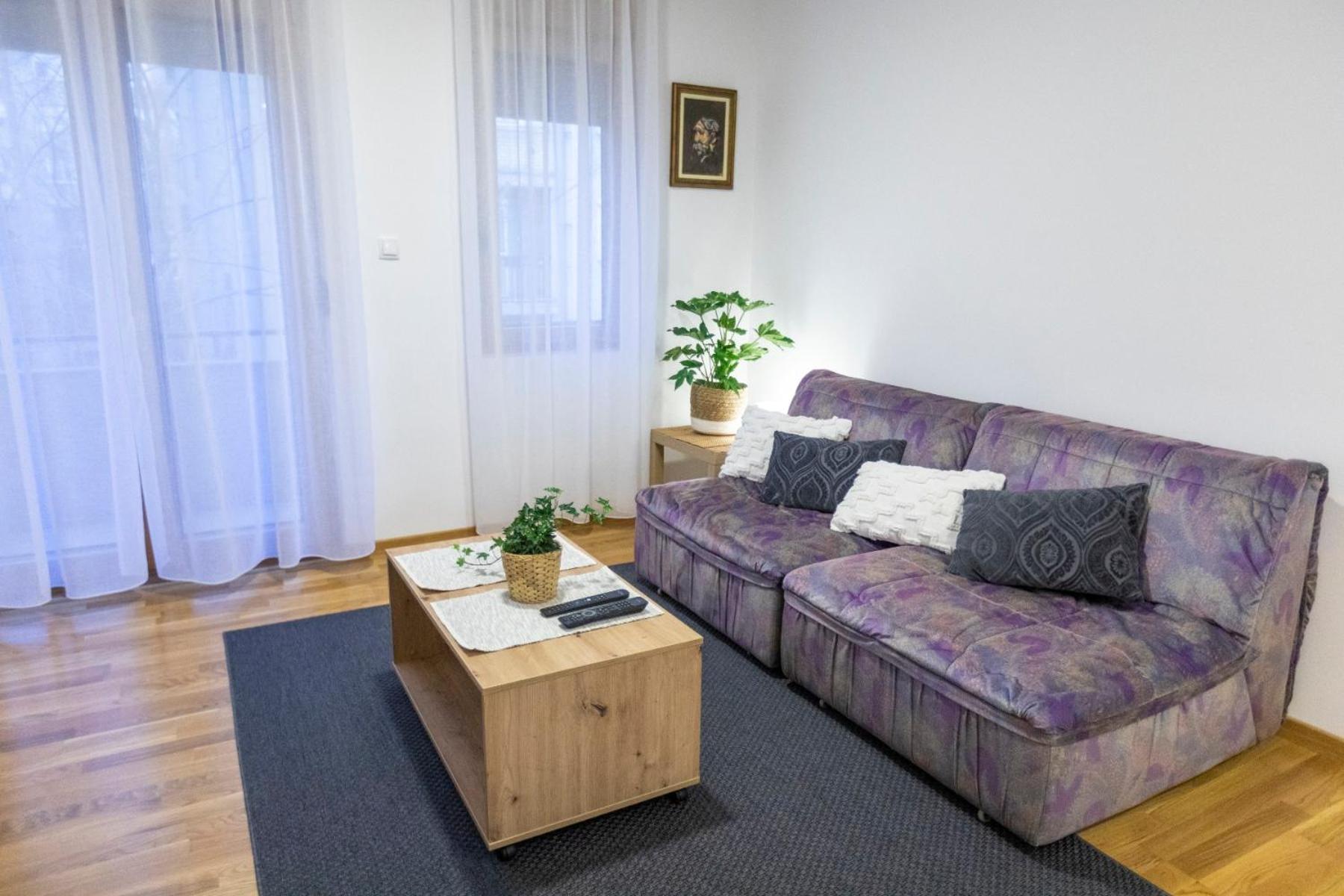 AS apartman 1 view 5